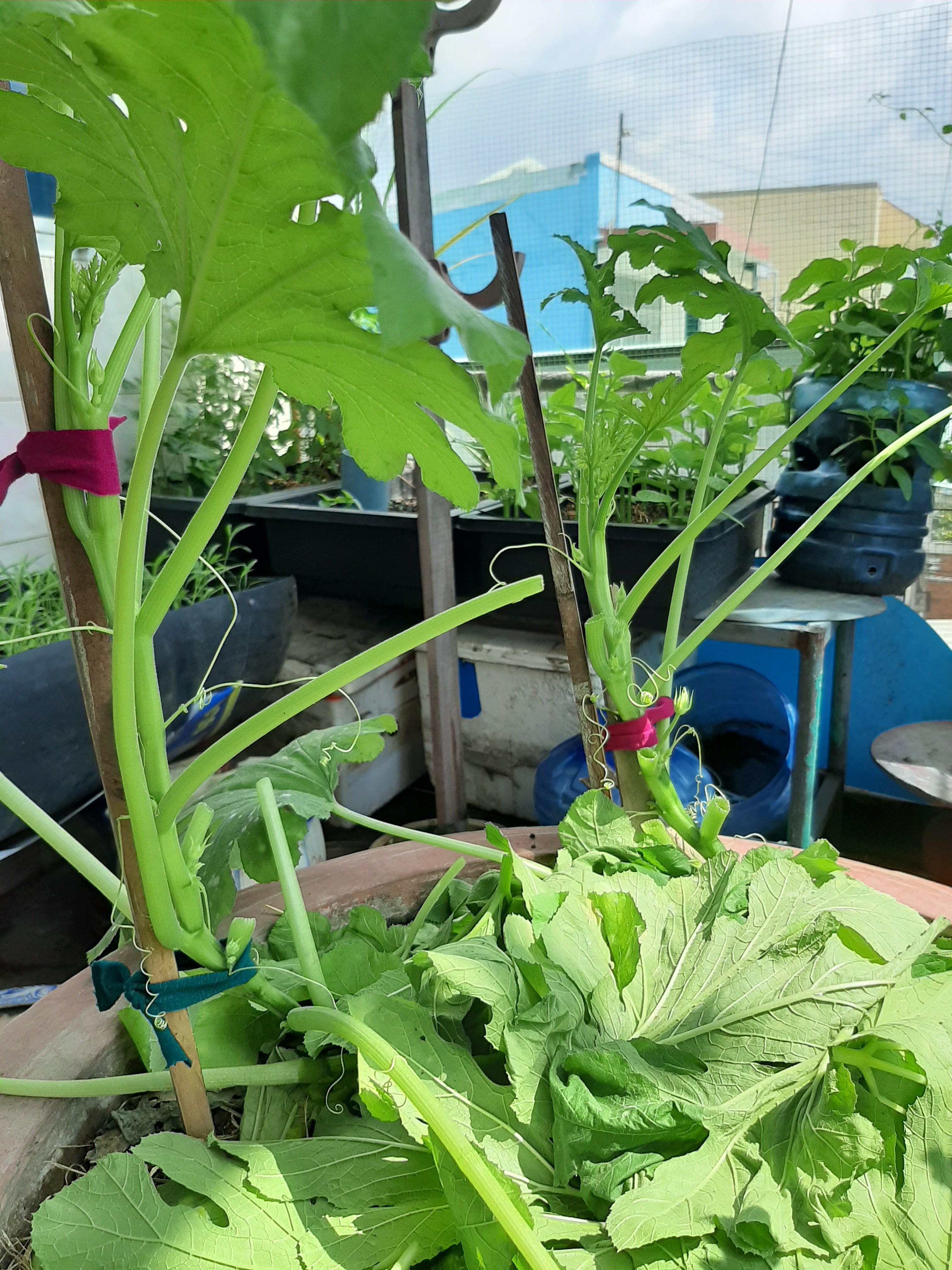 20190822_094436.jpg