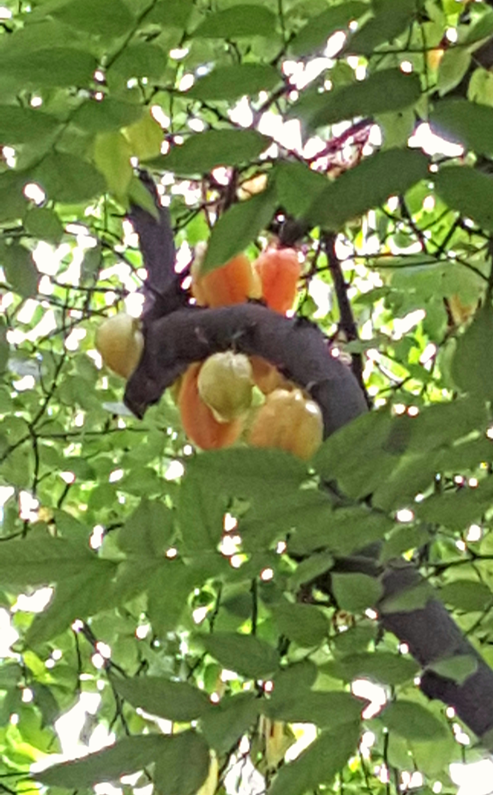 20190823_103506.jpg