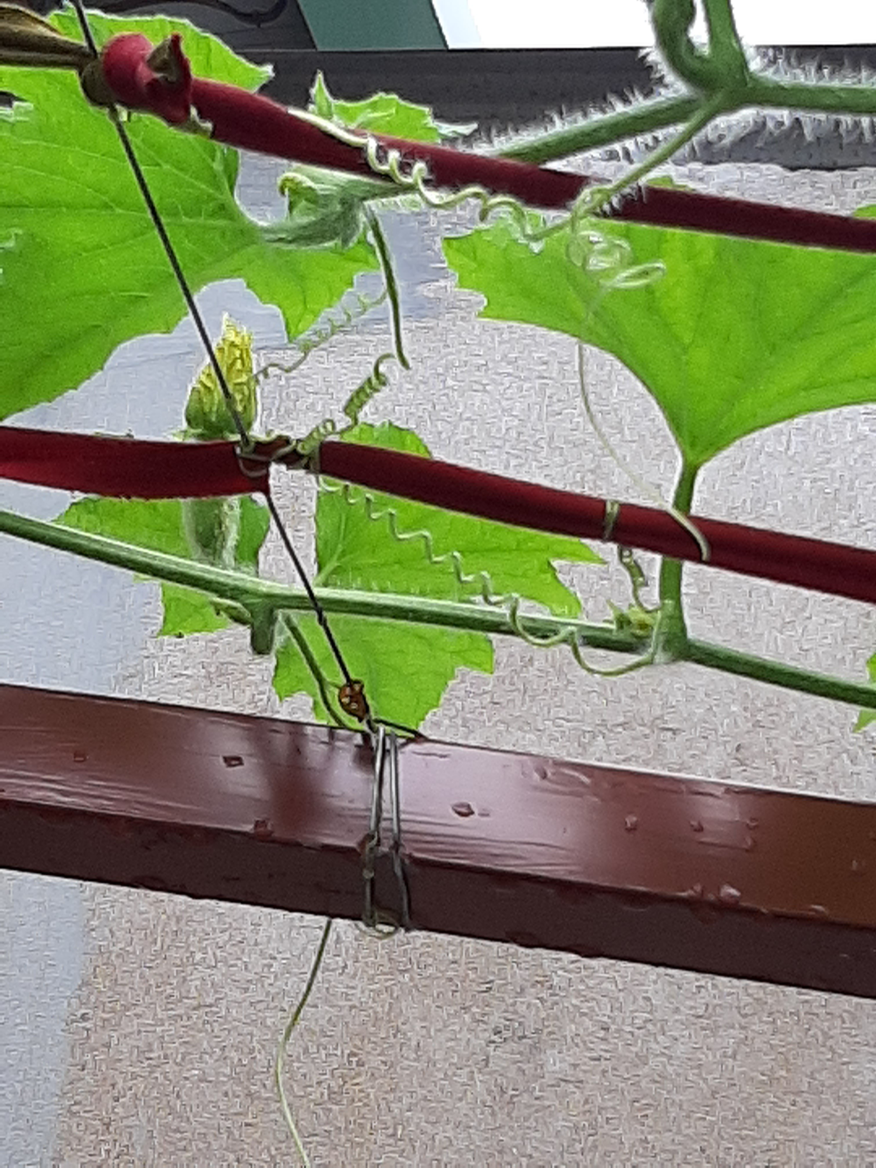 20190825_145526.jpg