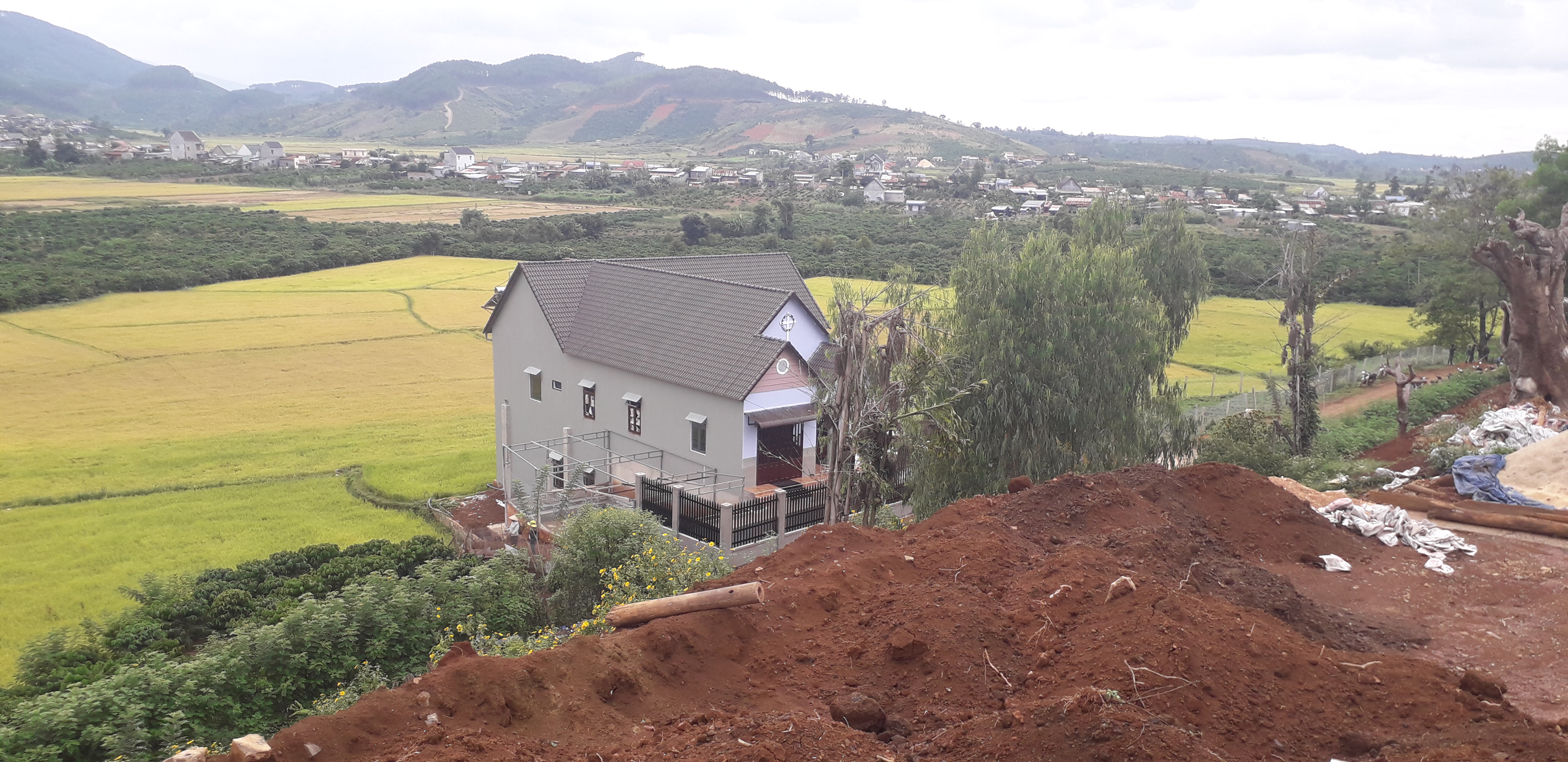 20191104_140301.jpg