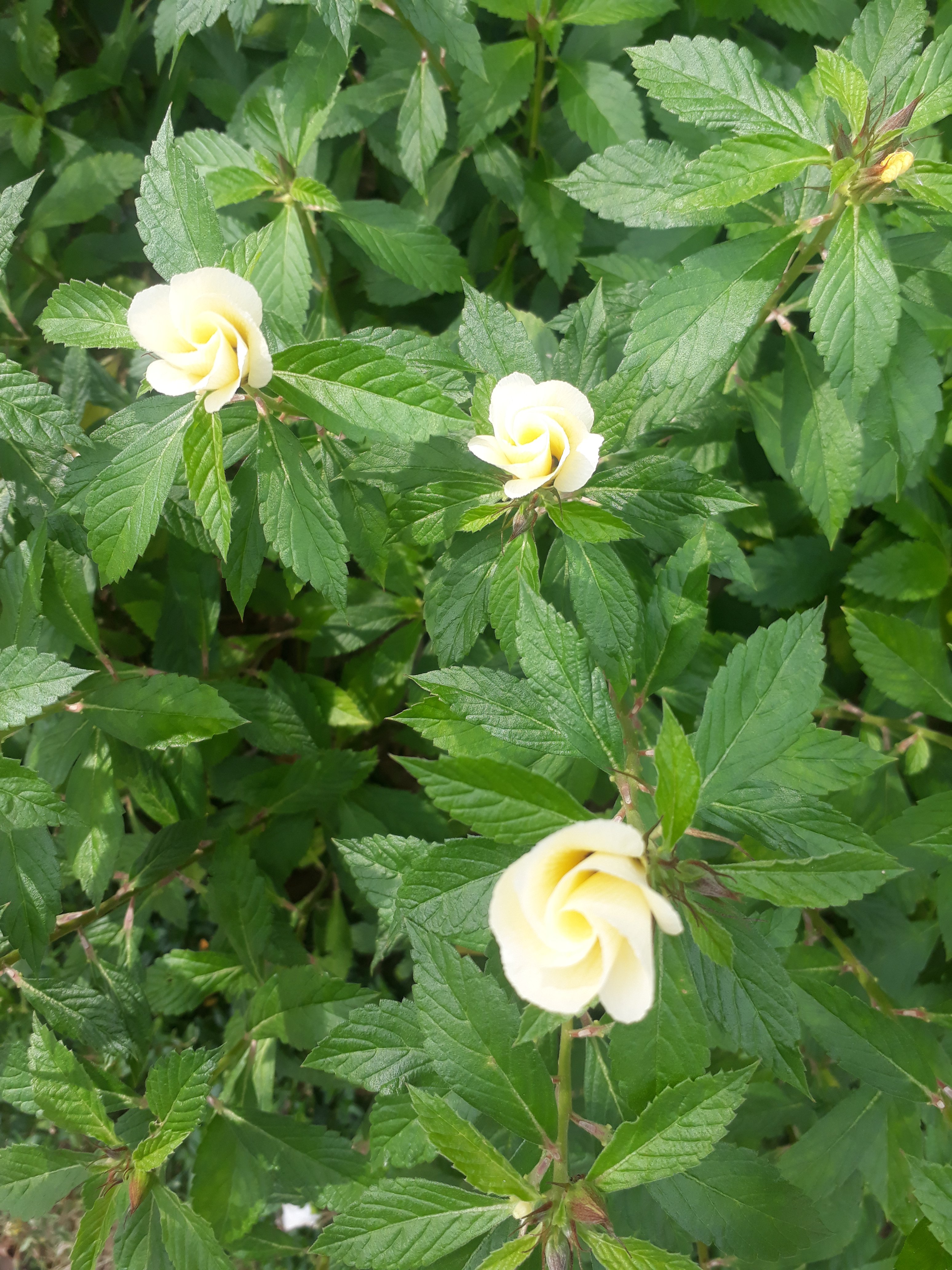 20191109_083824.jpg