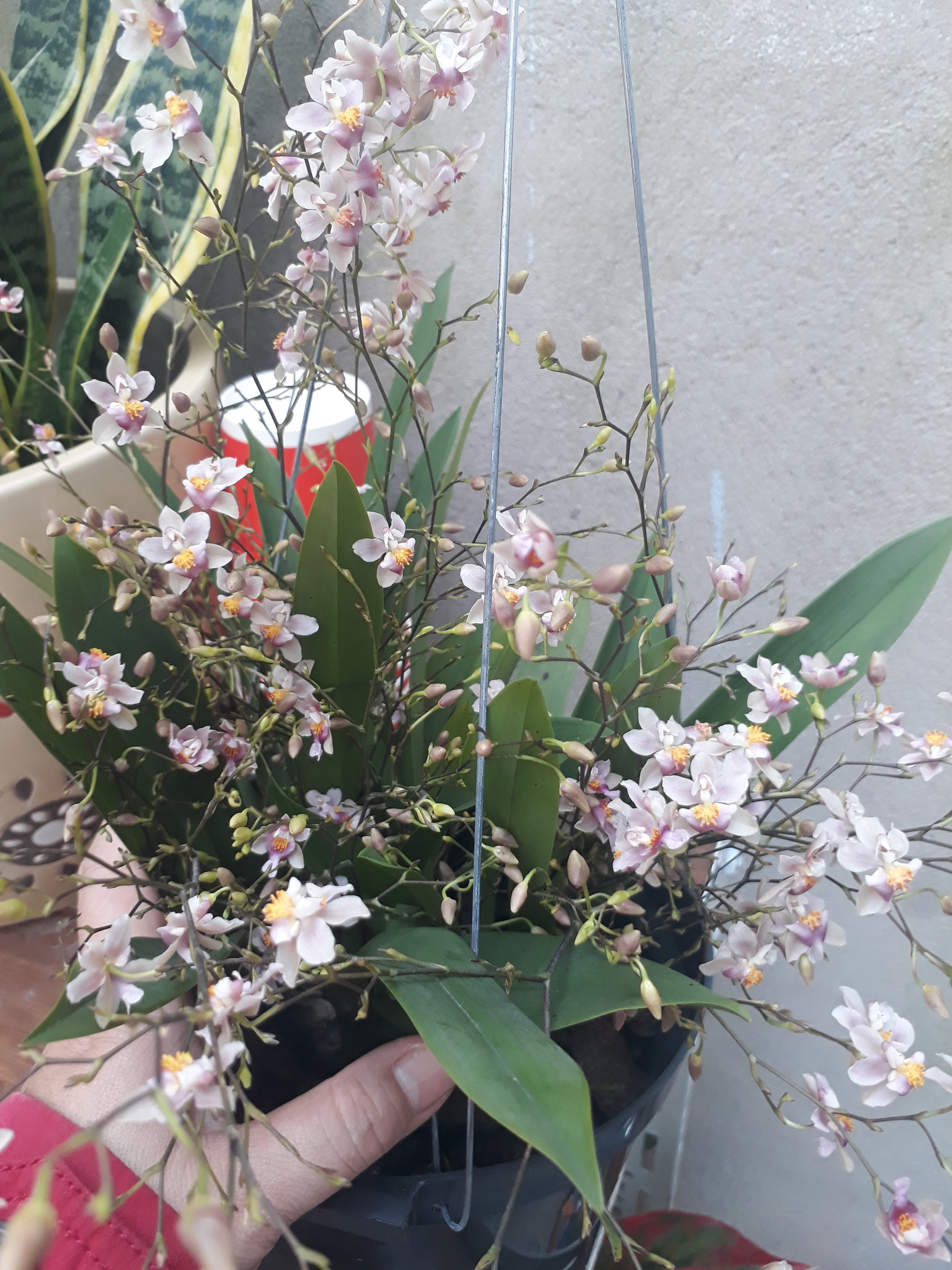 20191207_115310.jpg