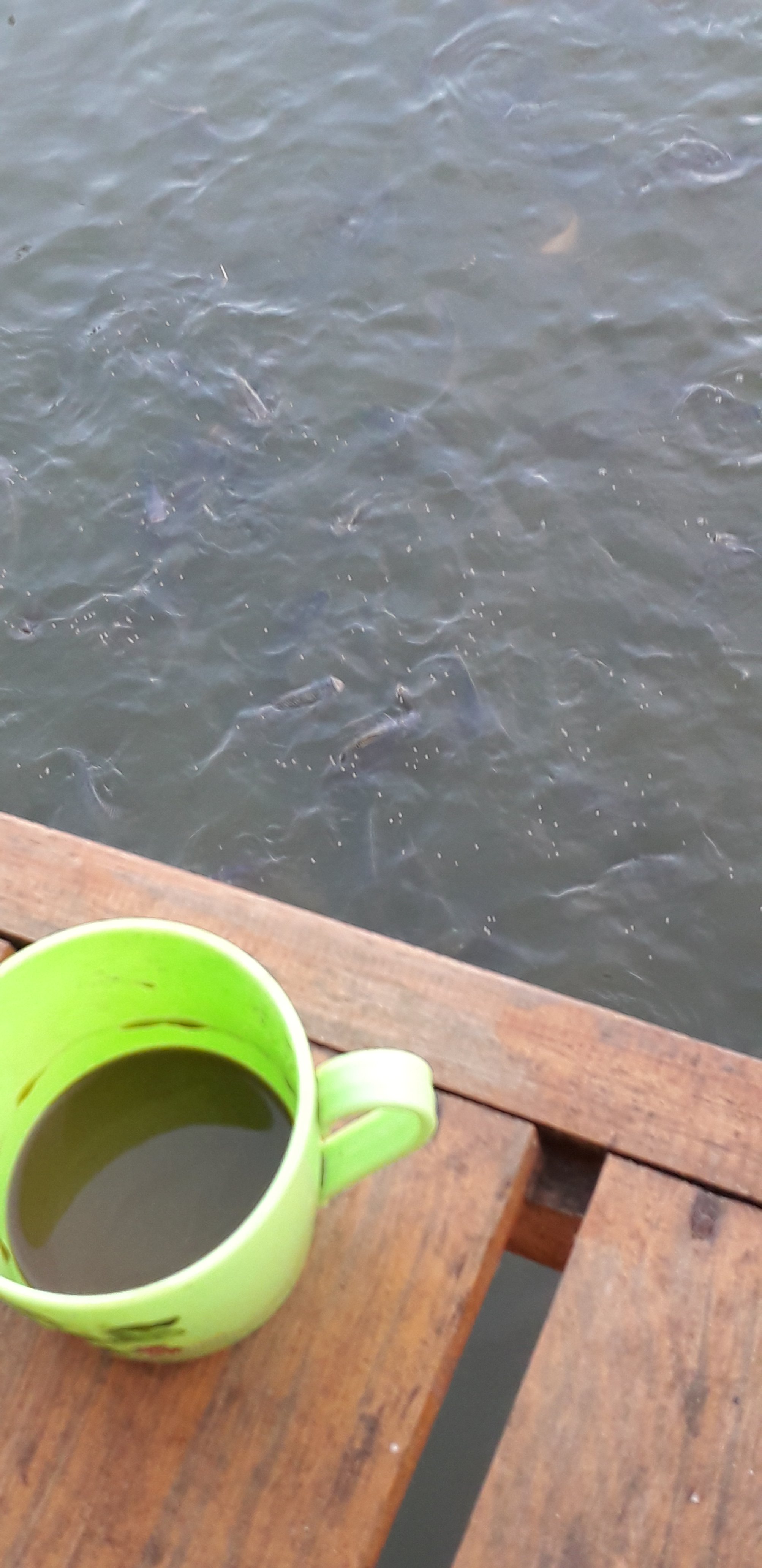 20191216_060939.jpg