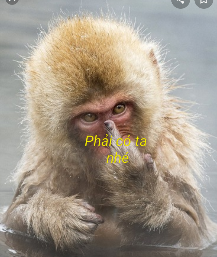 20200517_232218.png