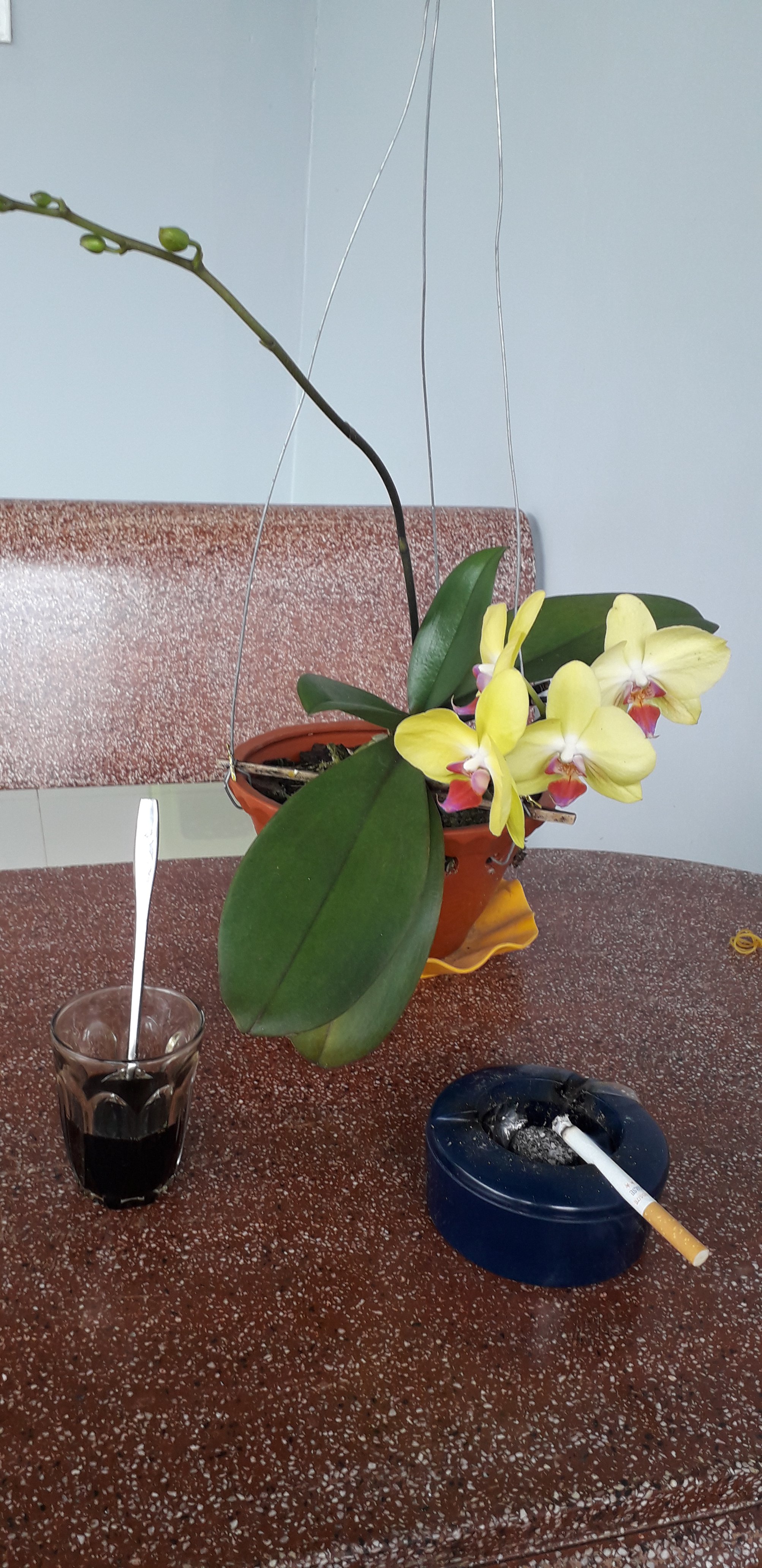 20200810_081902.jpg