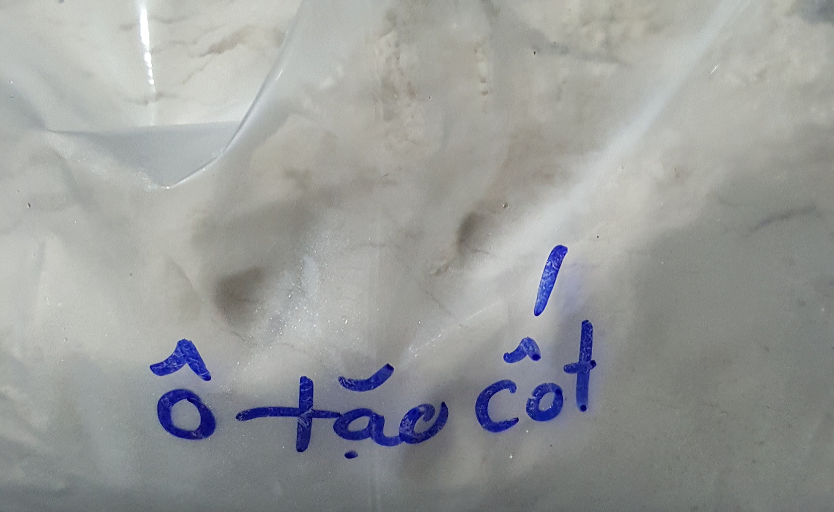 20201003_122143.jpg