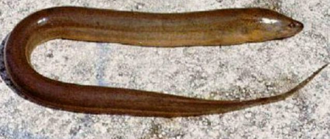 20201107_075828.jpg