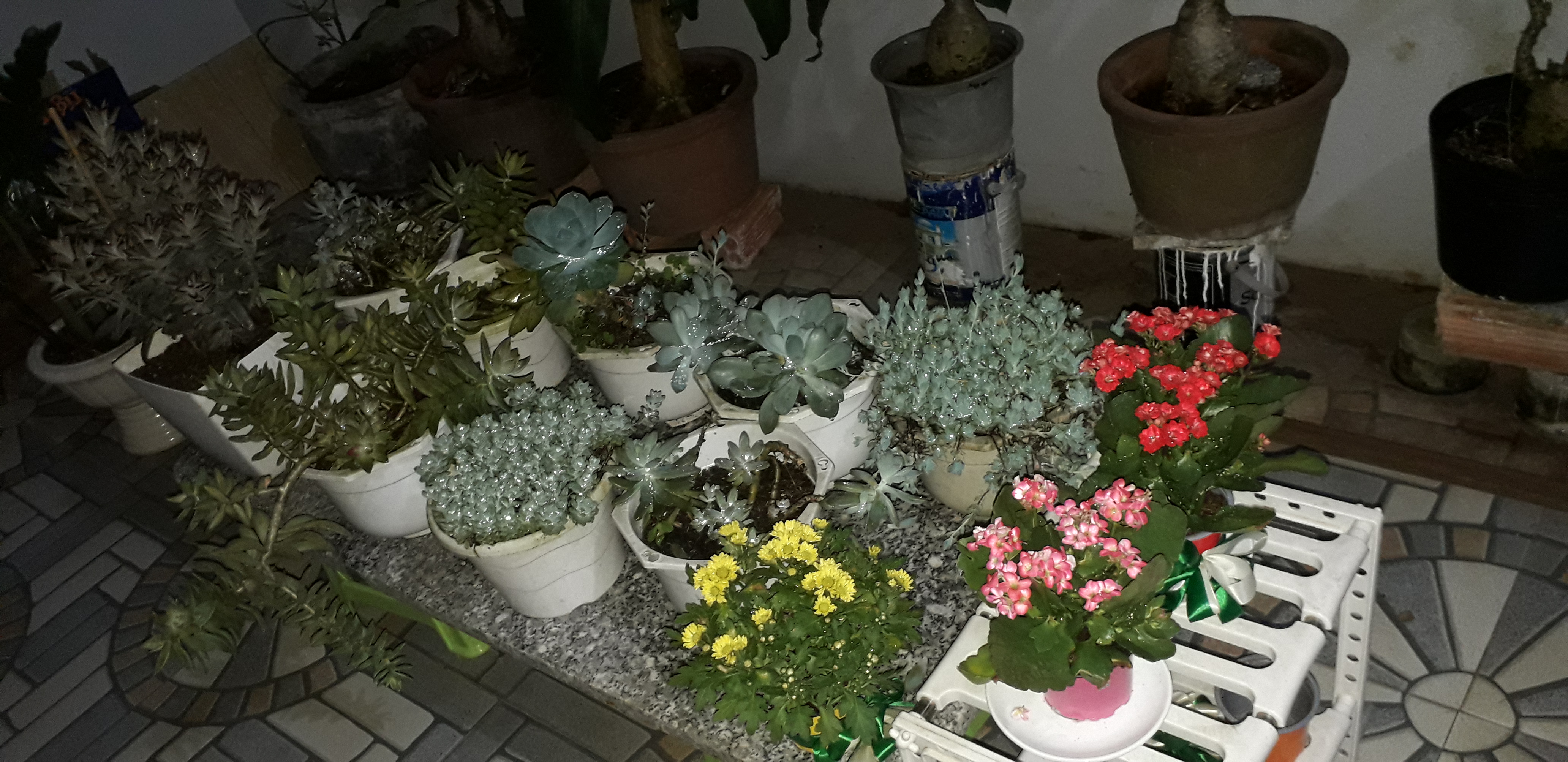20201114_204929.jpg