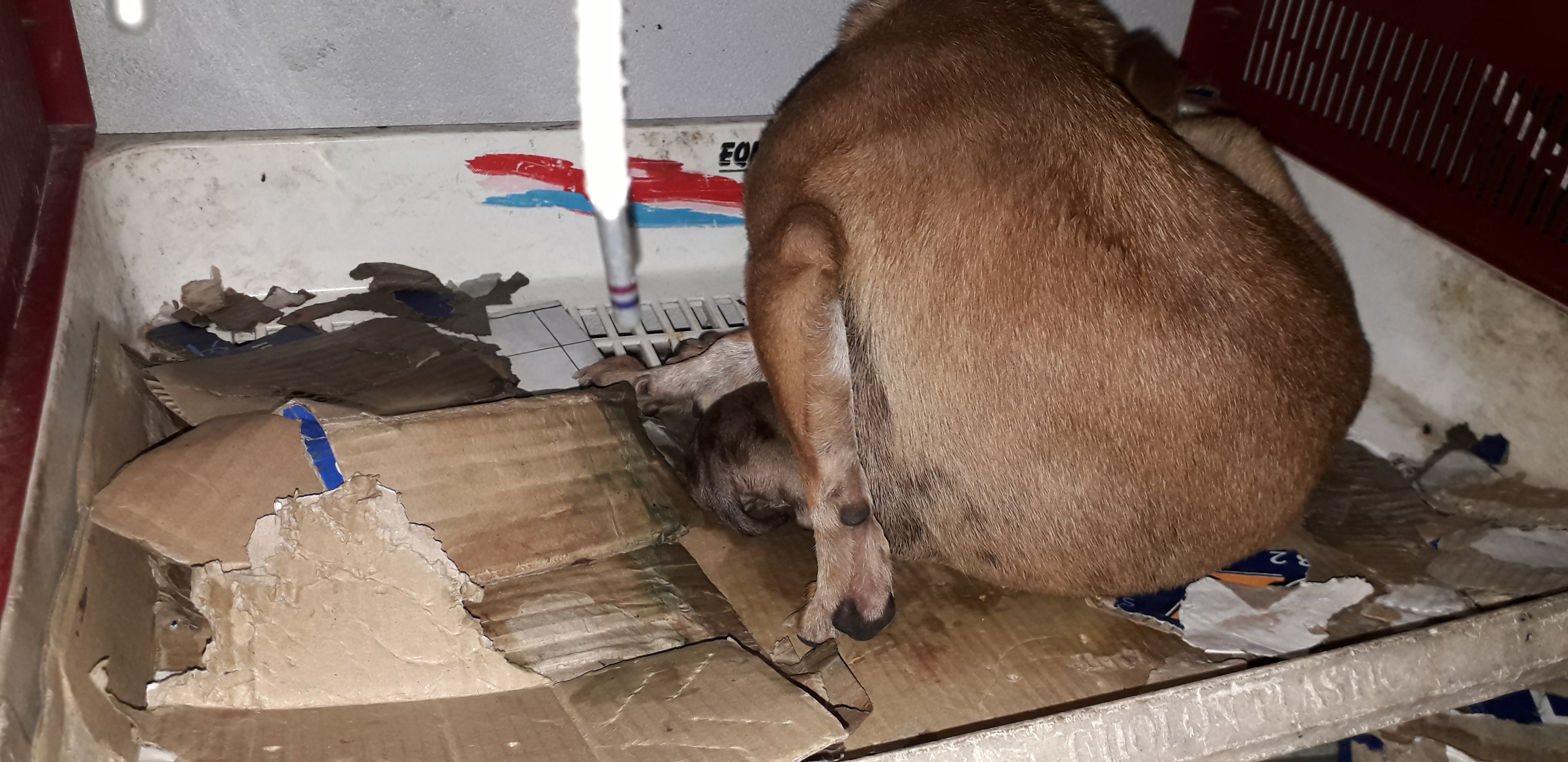 20201226_203624.jpg