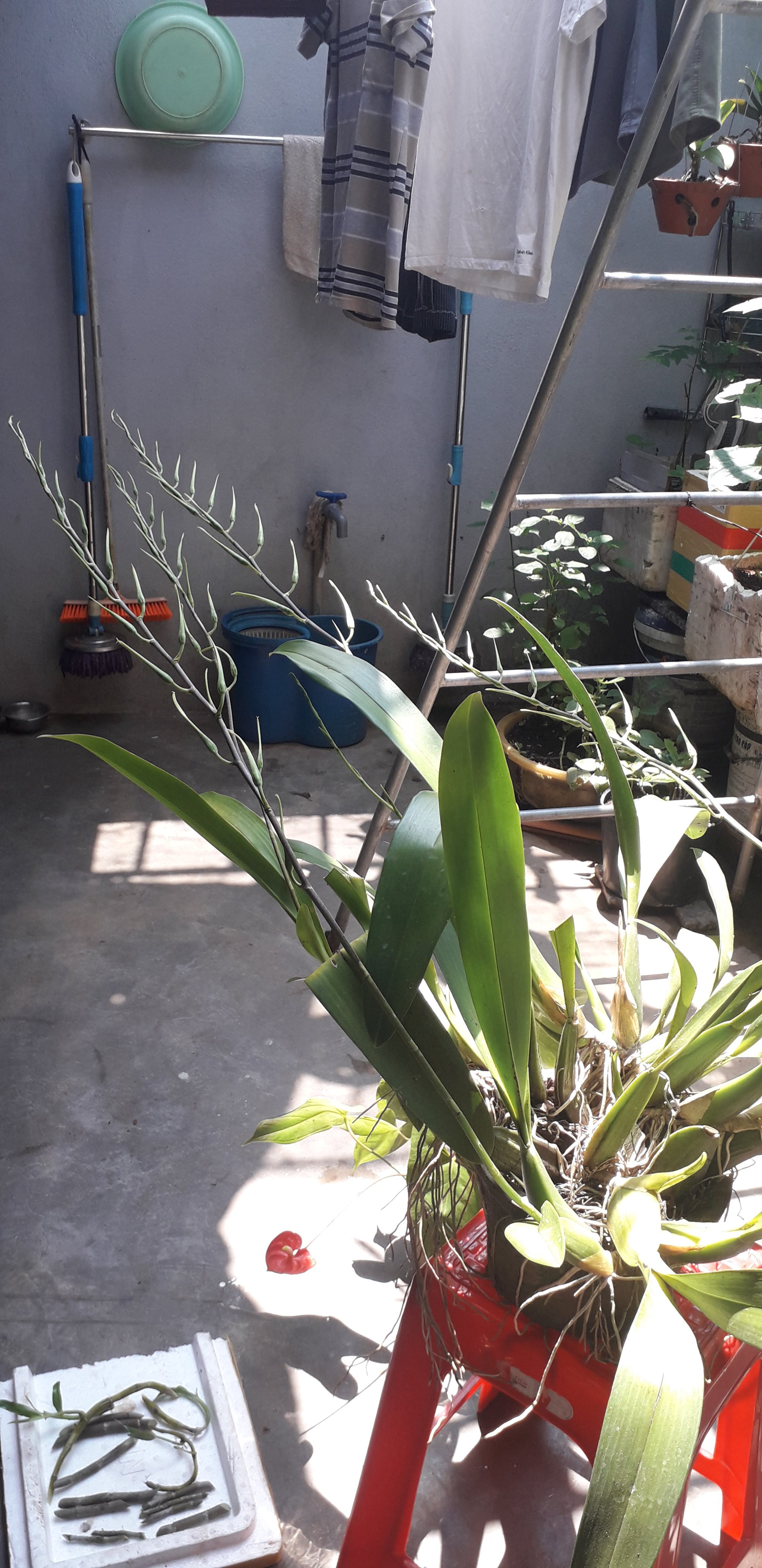 20210330_130419.jpg