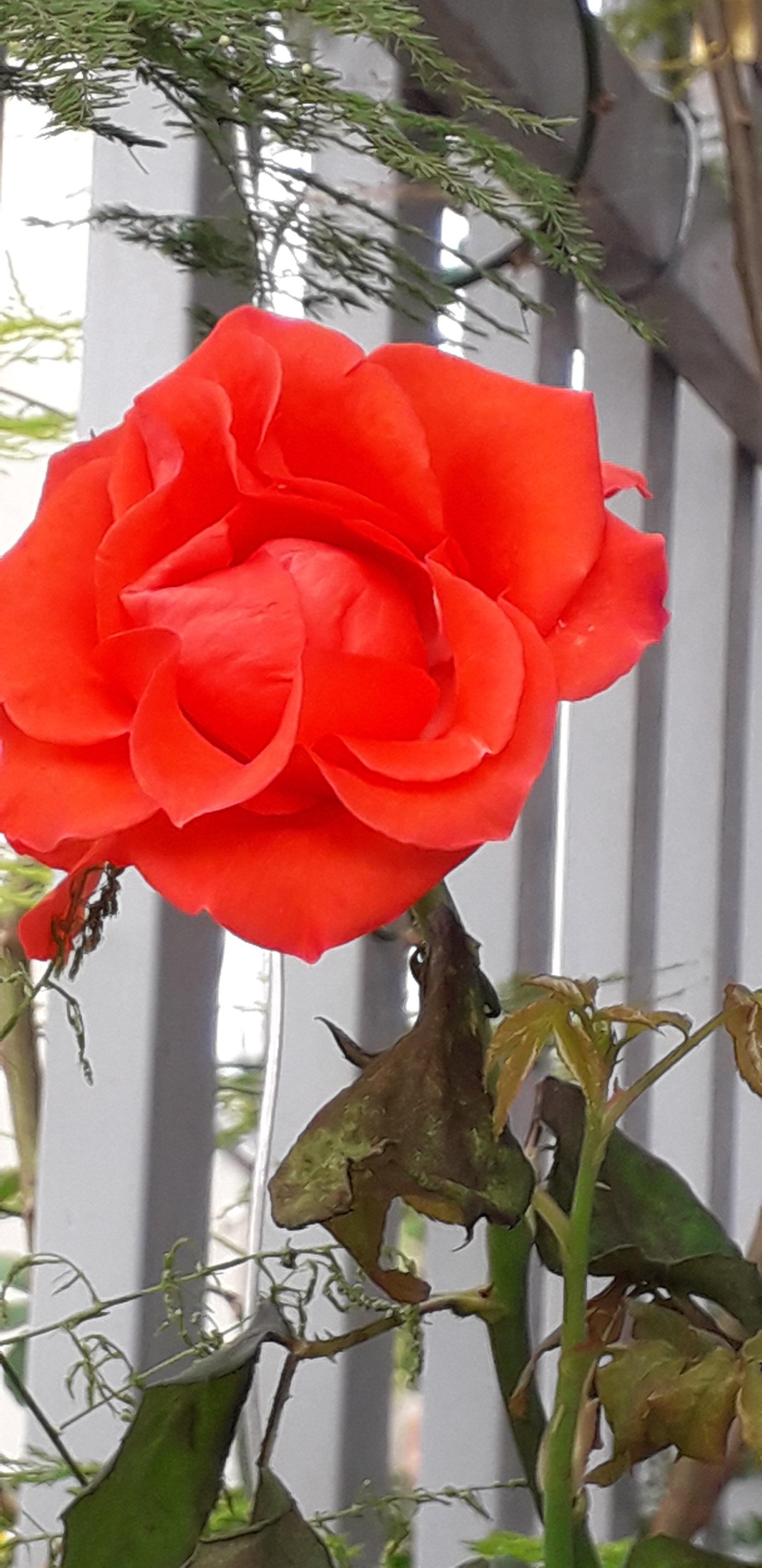 20210914_101400.jpg