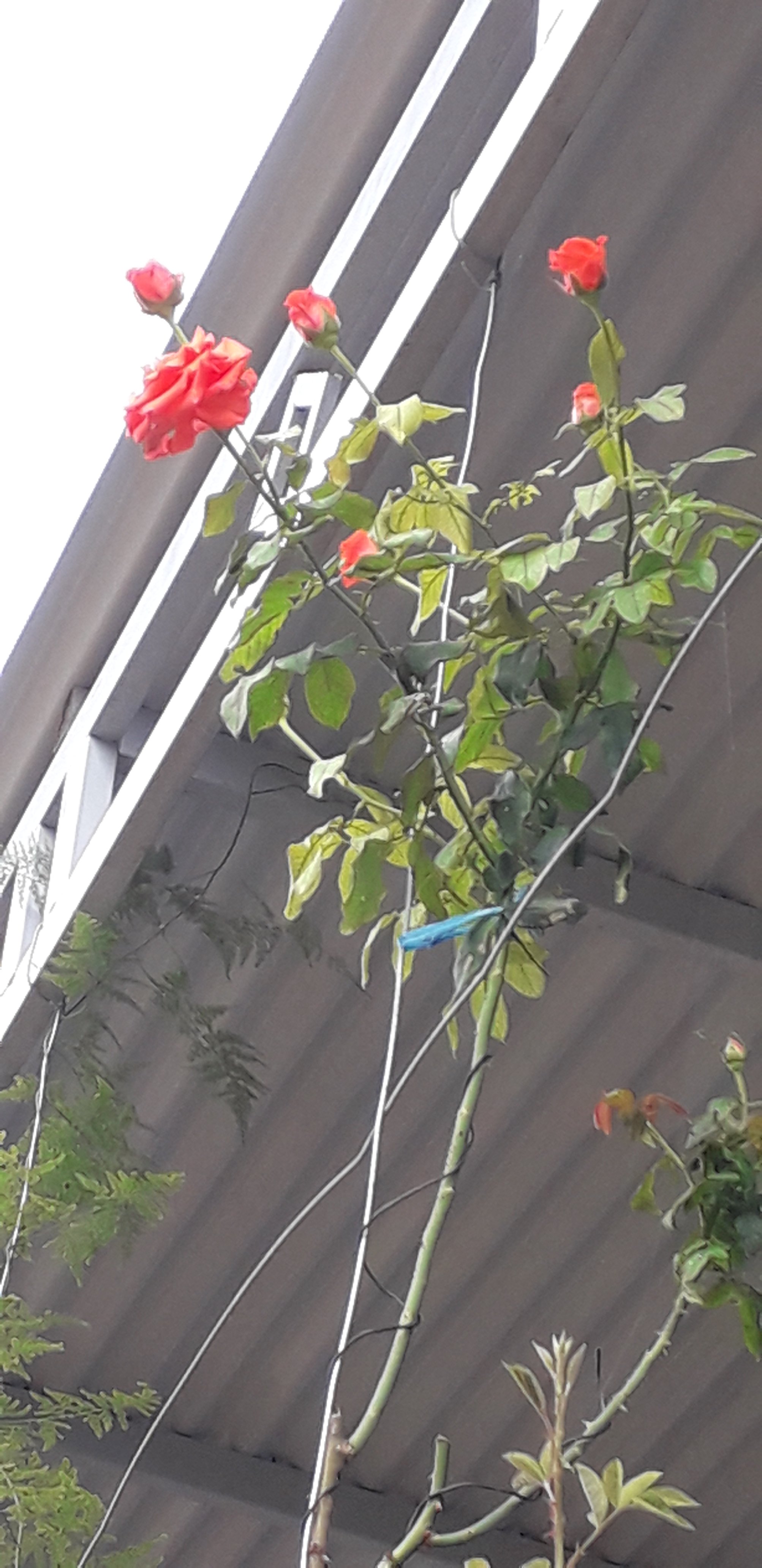 20210914_101541.jpg
