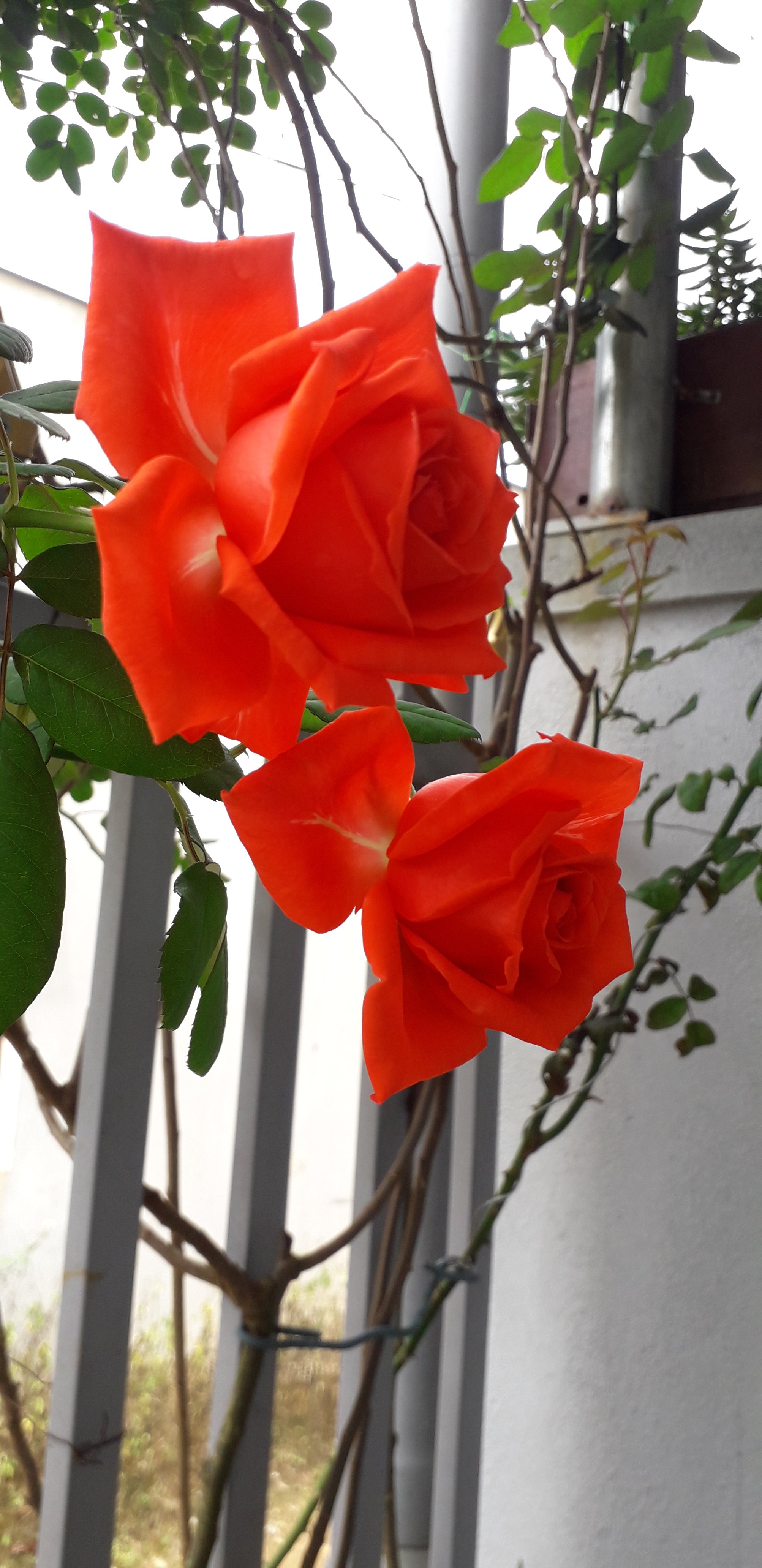 20210914_102450.jpg