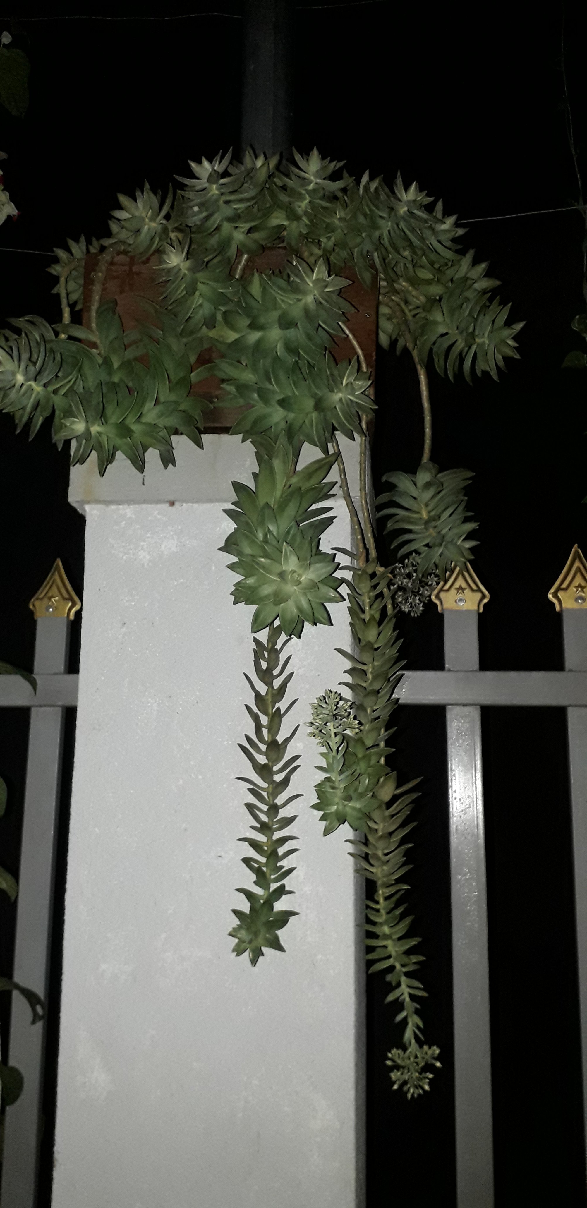 20211225_205017.jpg