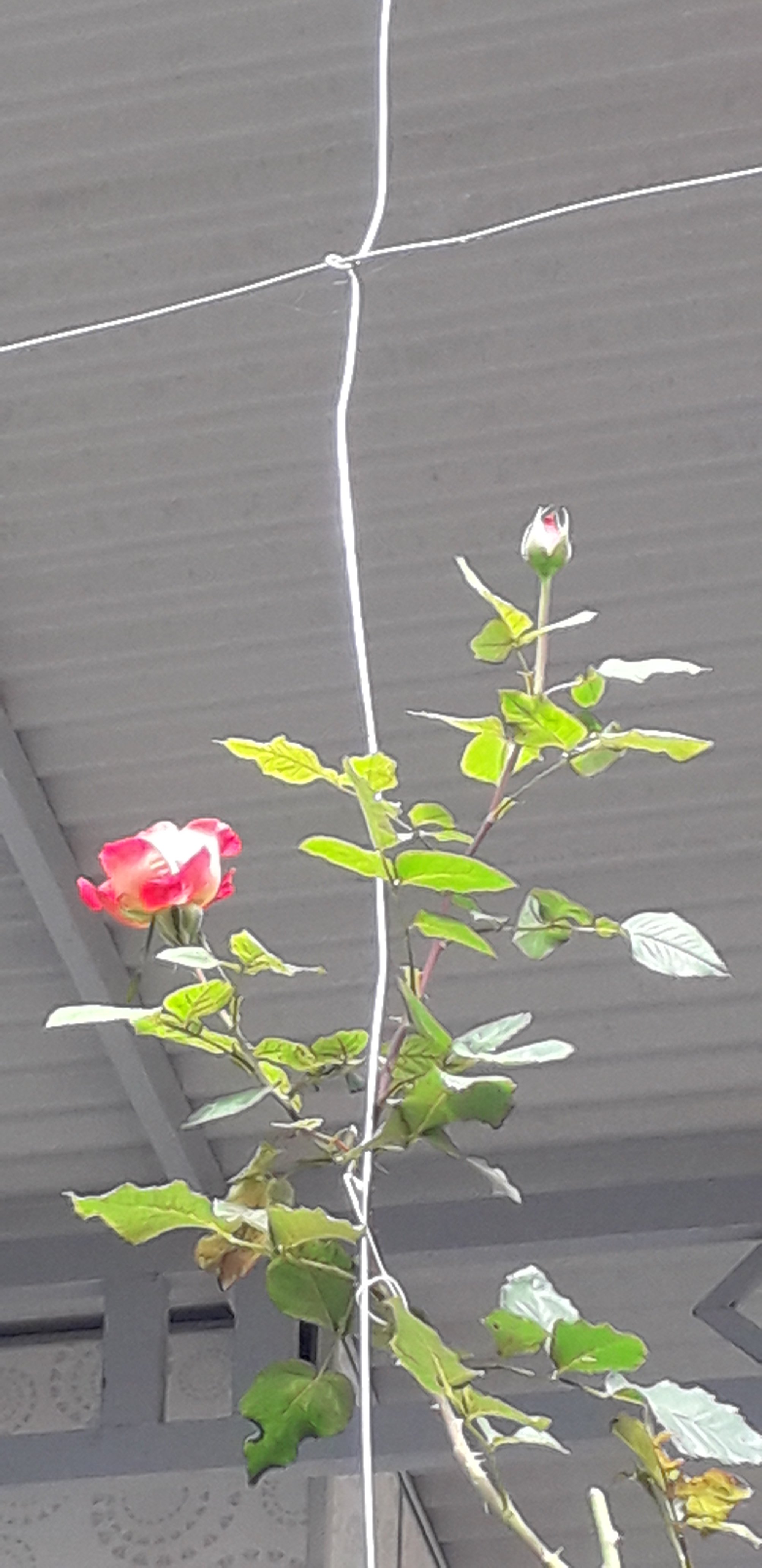 20220112_131646.jpg