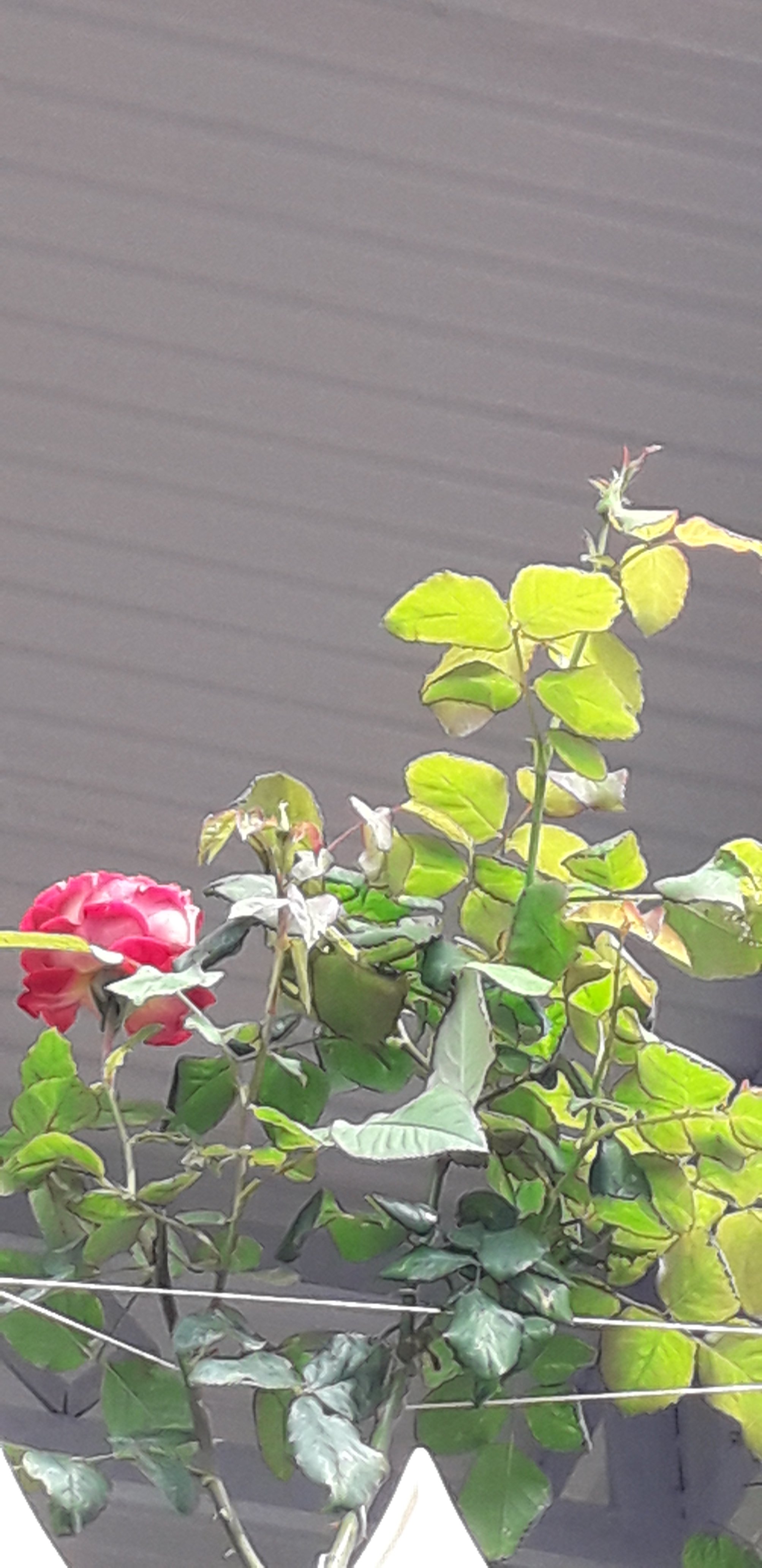 20220112_131705.jpg