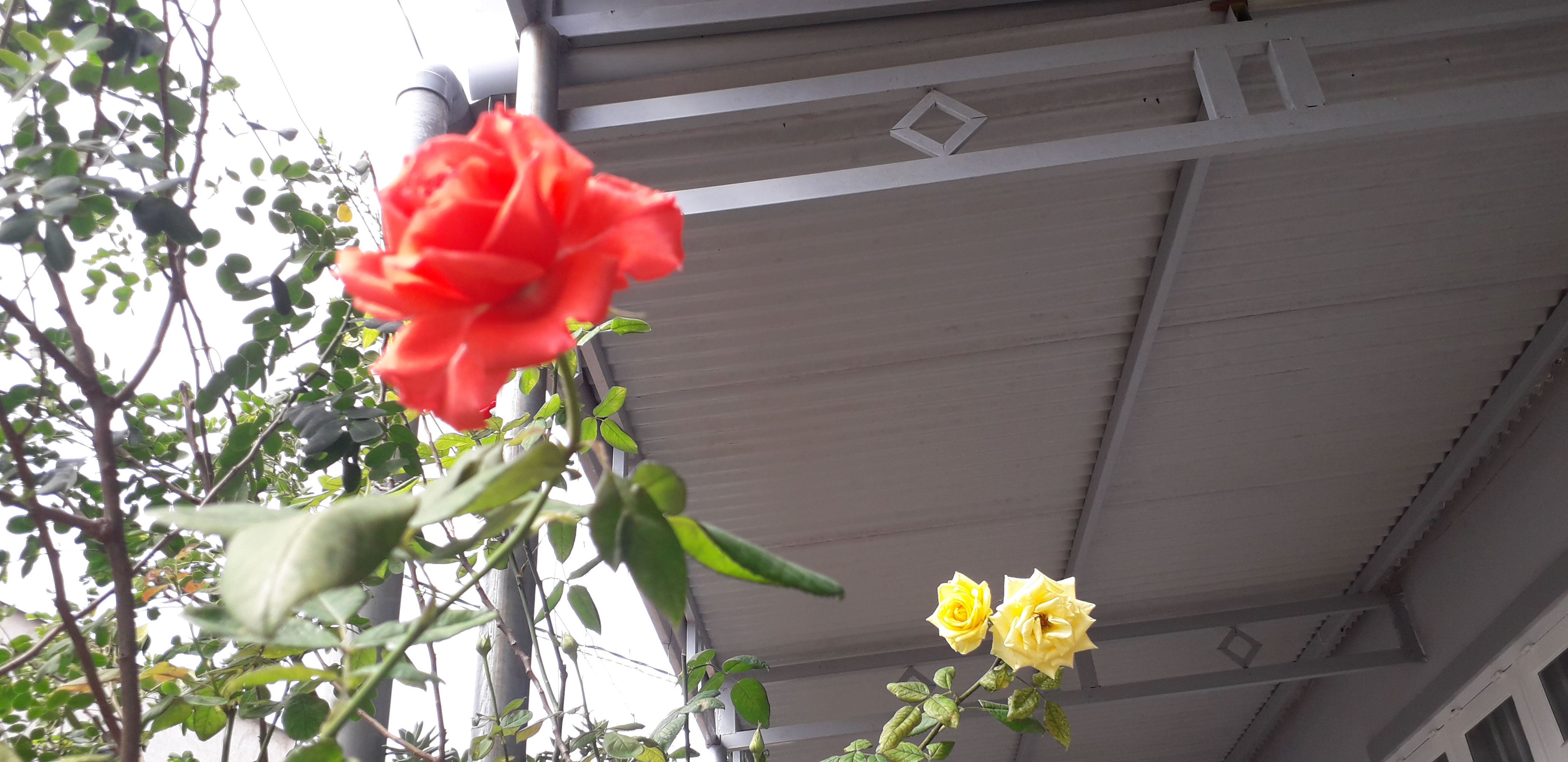 20220112_132511.jpg