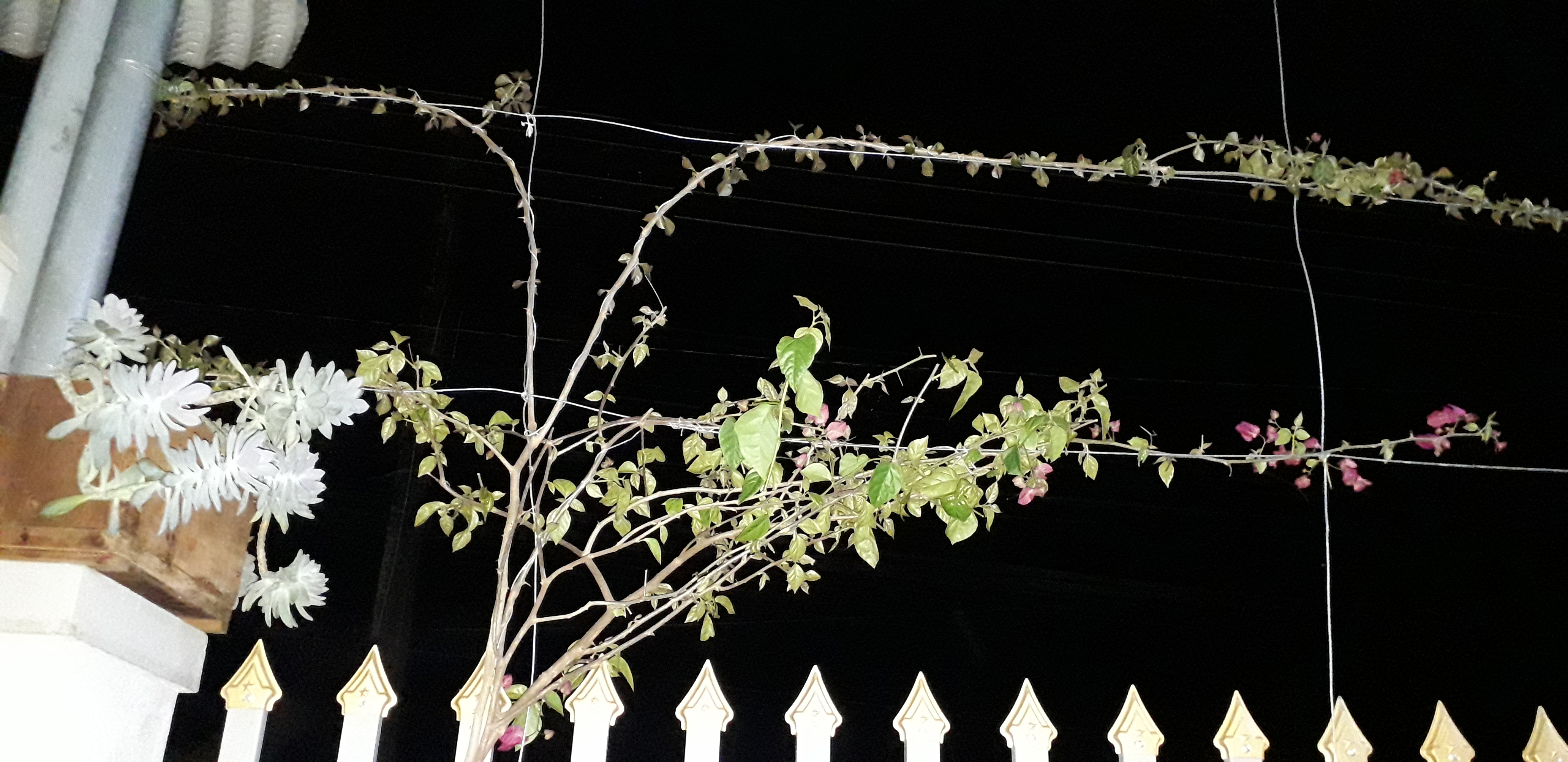 20220112_192718.jpg