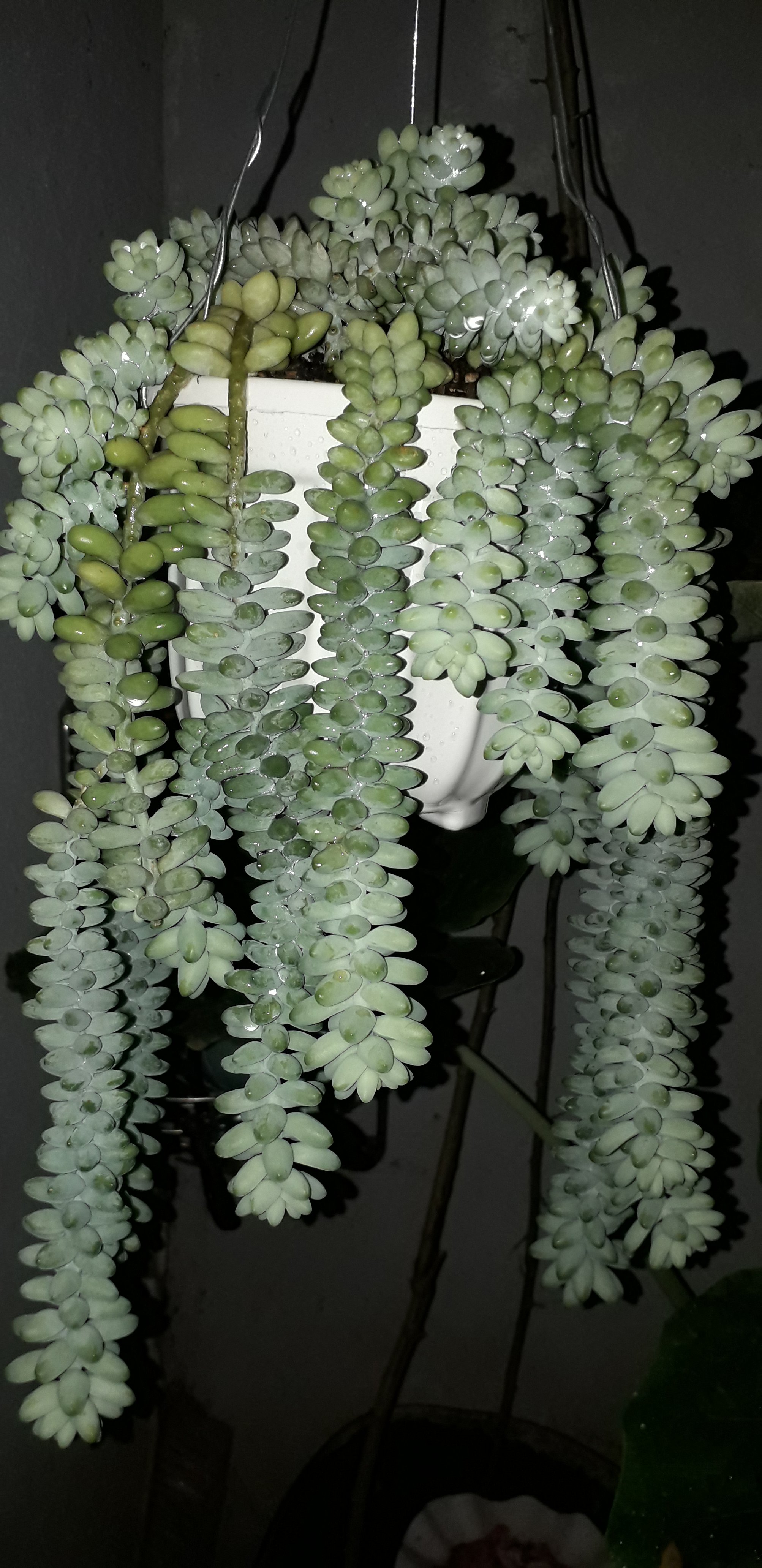 20220119_212453.jpg