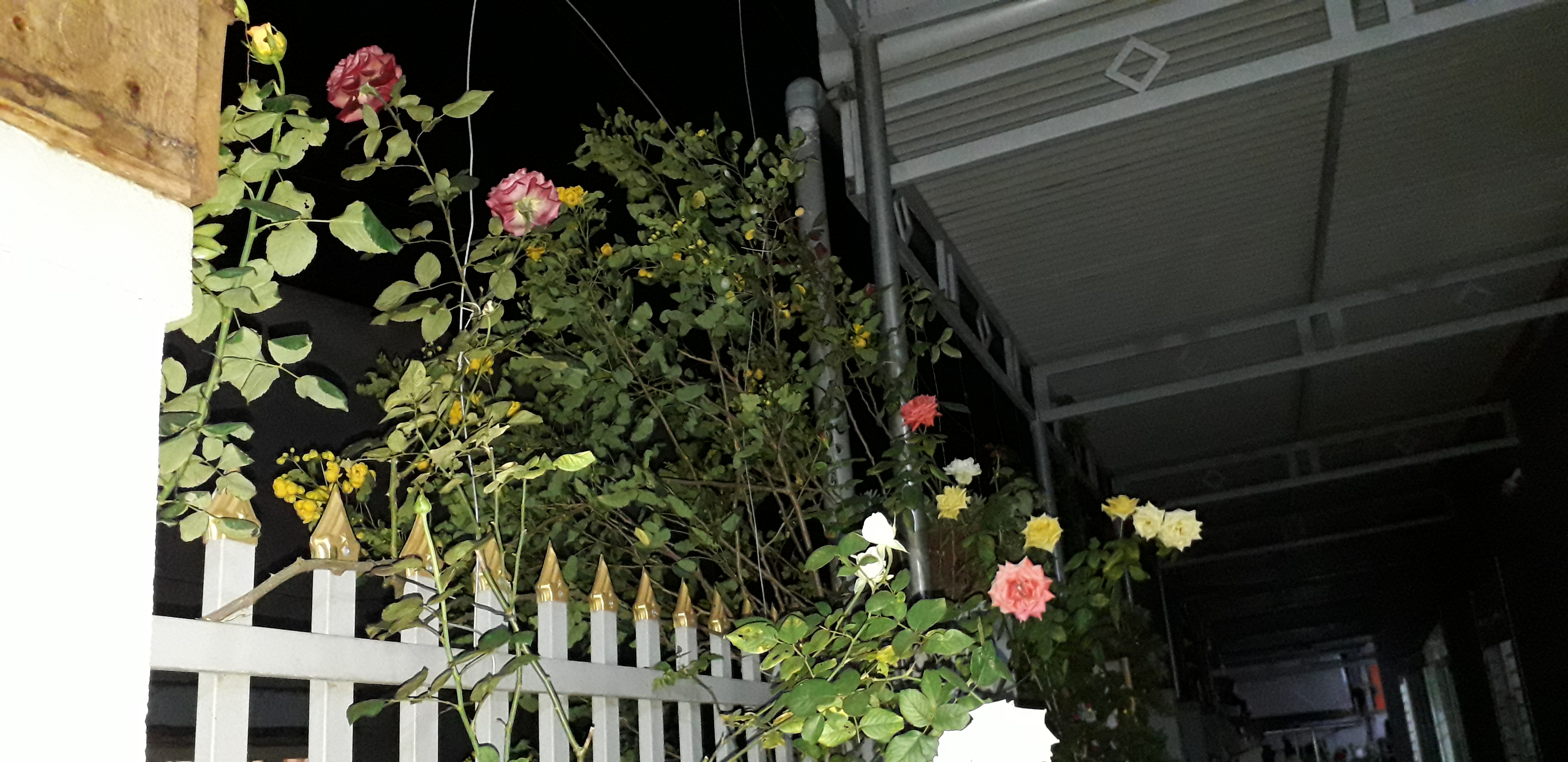 20220125_212346.jpg