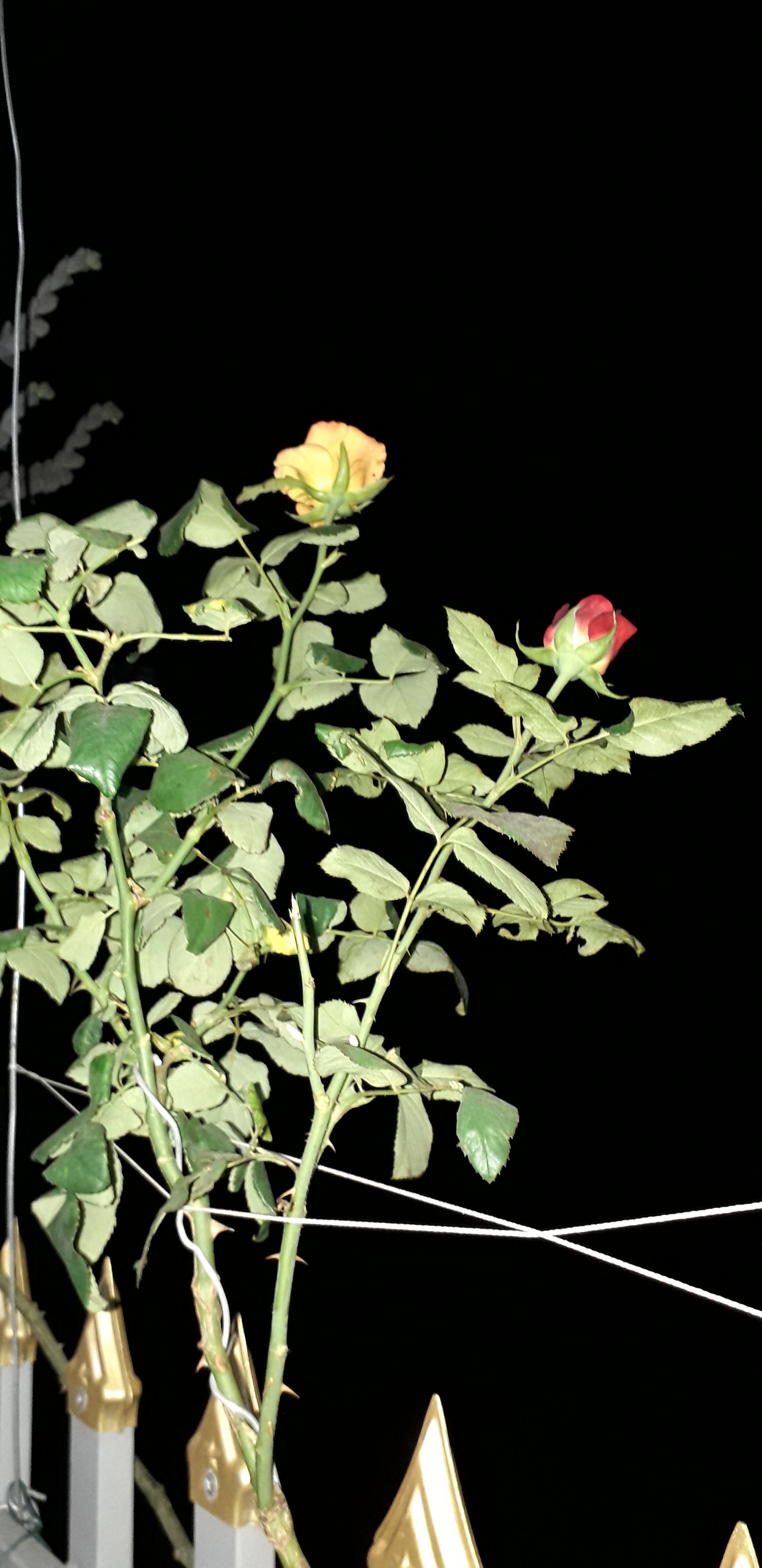 20220125_212511.jpg