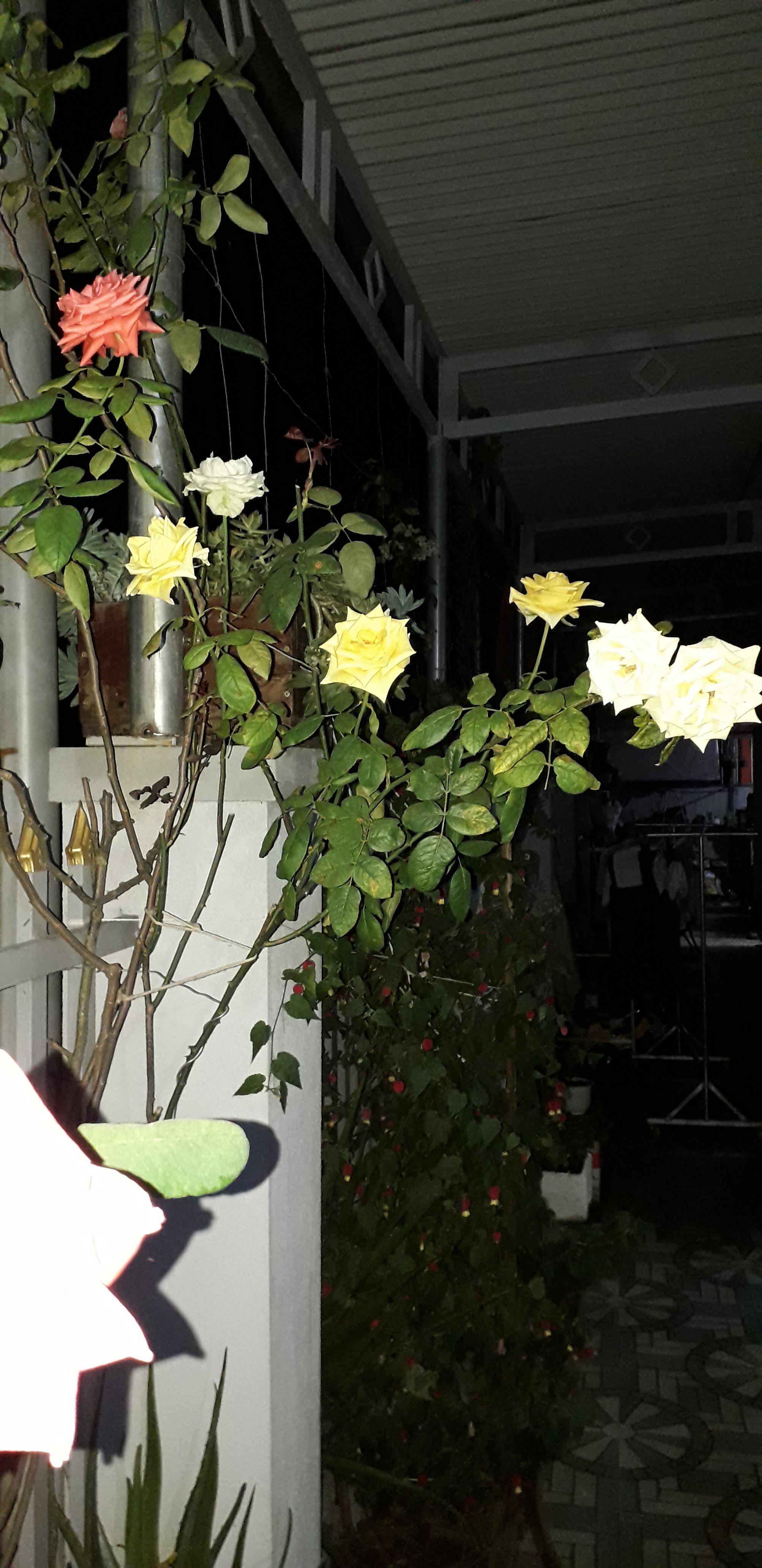 20220125_212558.jpg