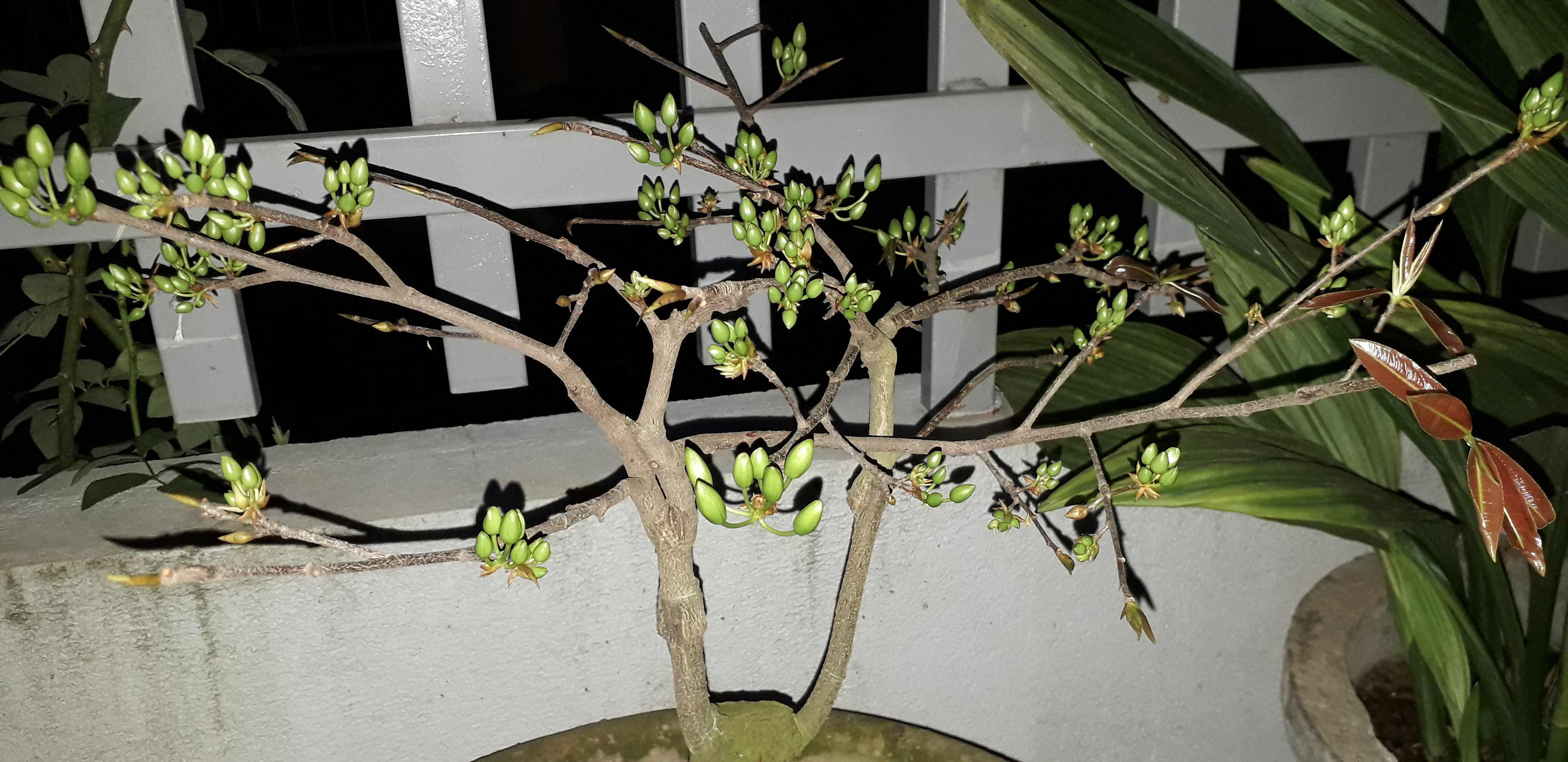 20220125_212911.jpg