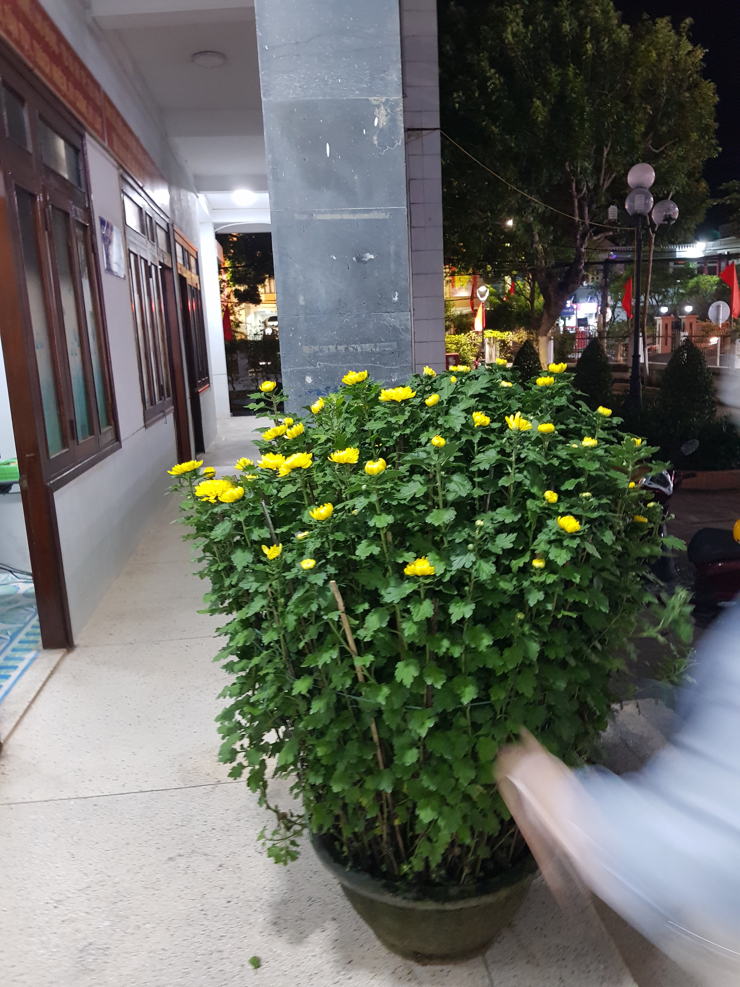 20230118_181719.jpg