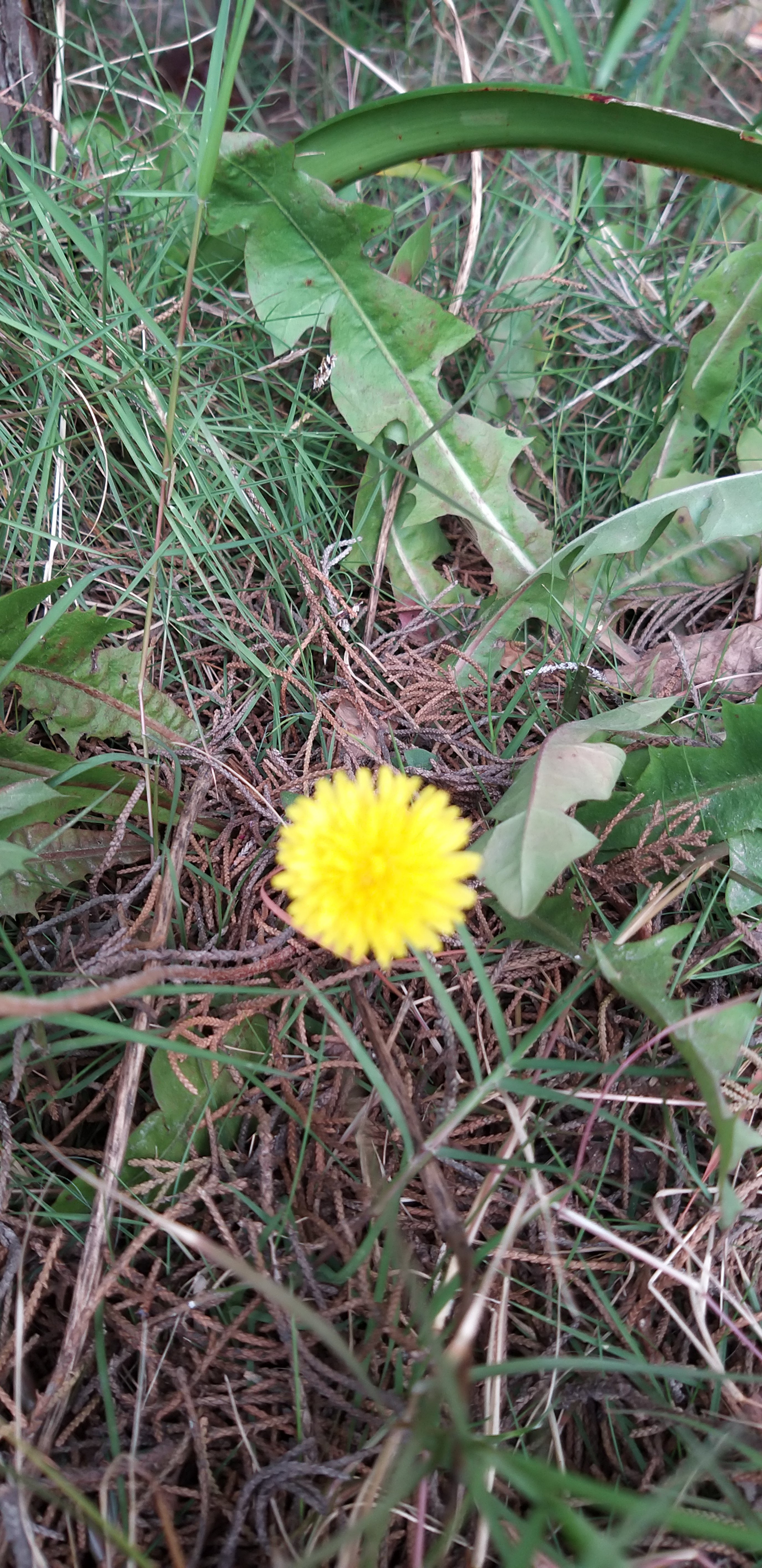 20230126_171656.jpg