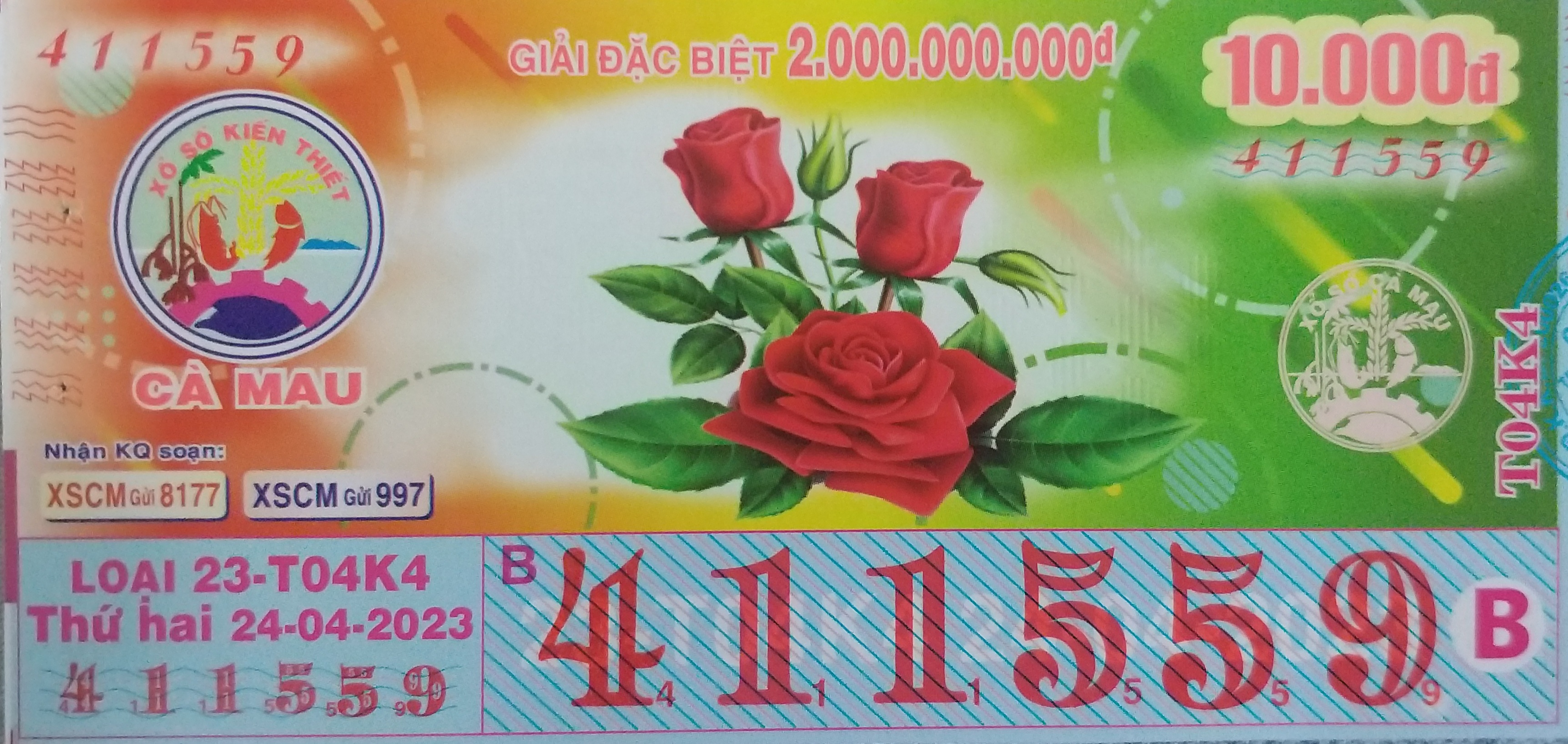 20230424_164535.jpg