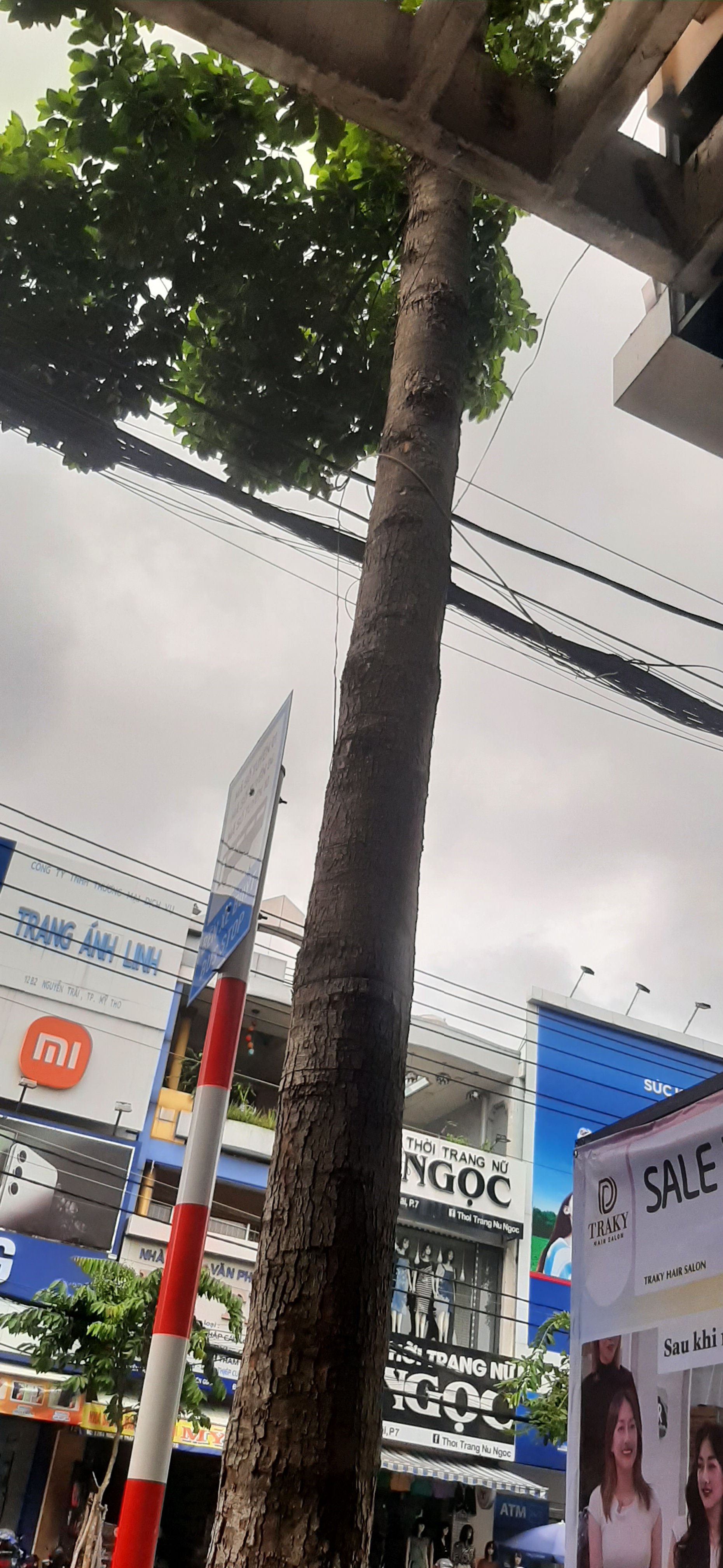 20230803_093240.jpg