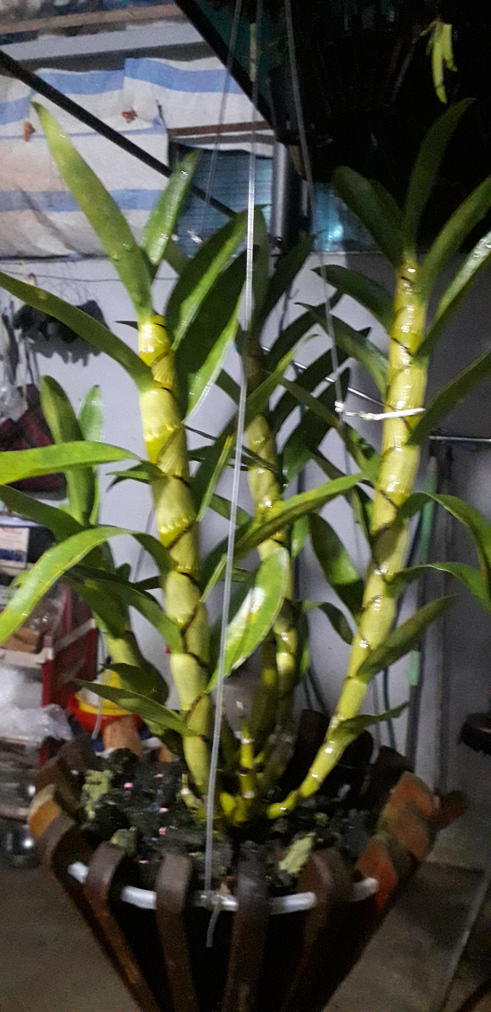 20231017_215808.jpg