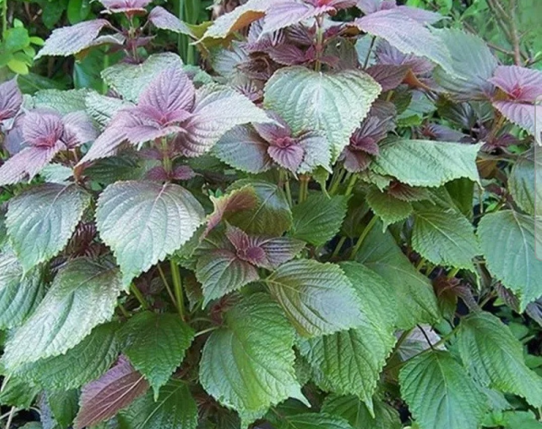 2023_01_10_16.53.16.jpg