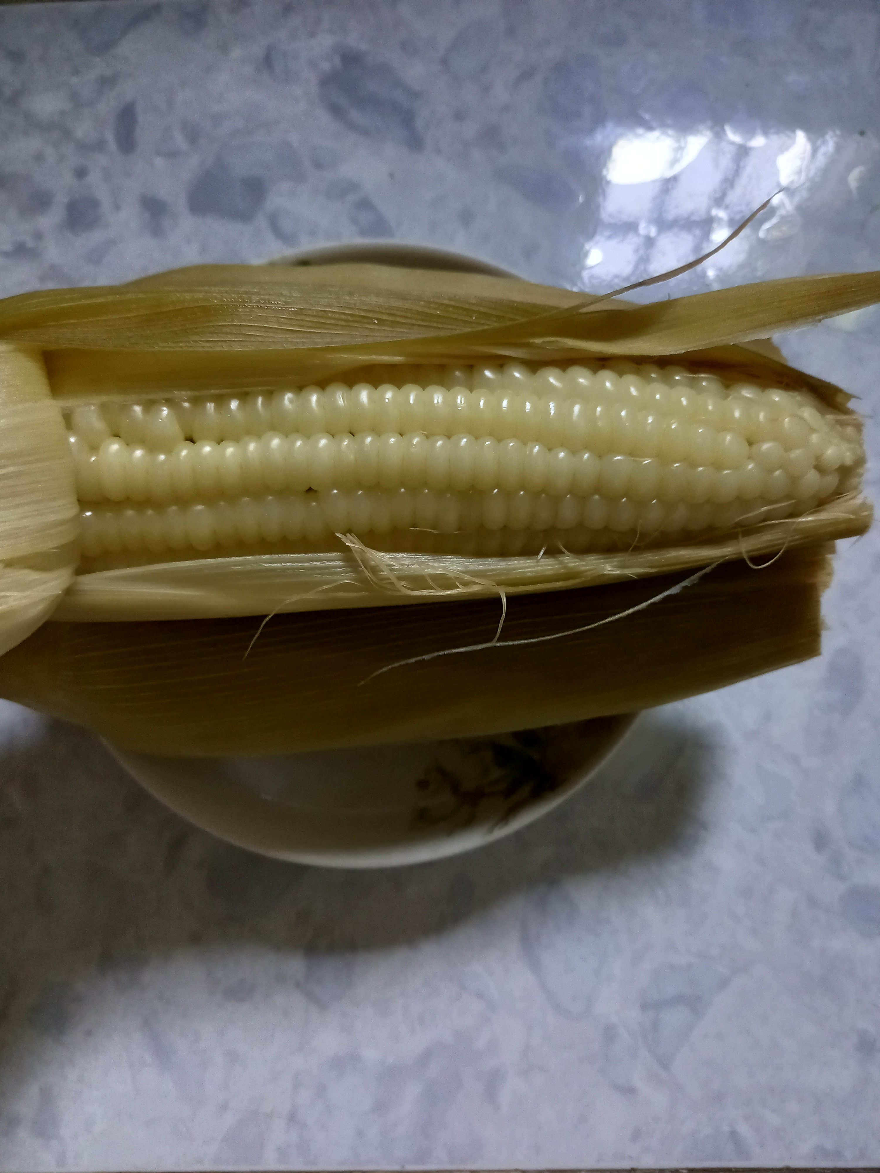 20240229_070452.jpg