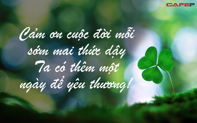 219EC567-7A31-41E5-BA11-EC0D4A9C7689.png