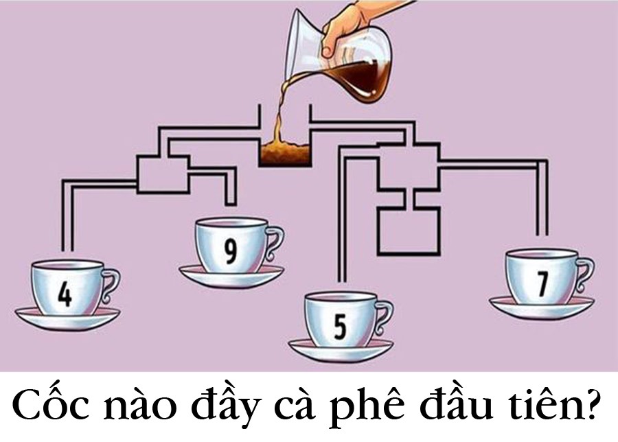228907453-3488559234580183-273-4341-4414-1627742836_r_460x0.jpg