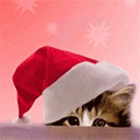 2334.gif