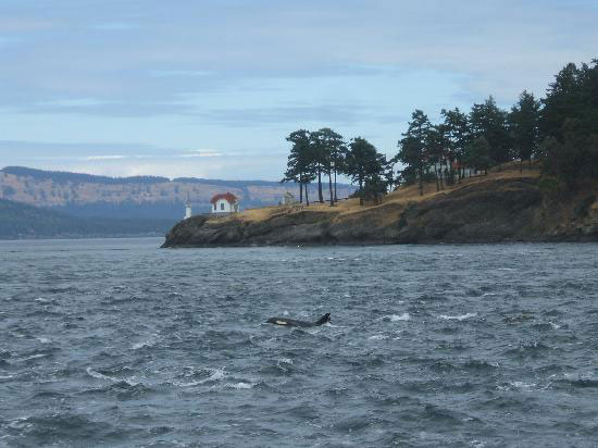 2410201013Asbestisland[1].jpg