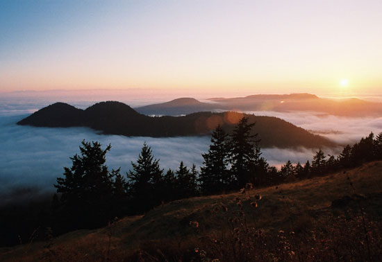 2410201014Asbestisland[1].jpg