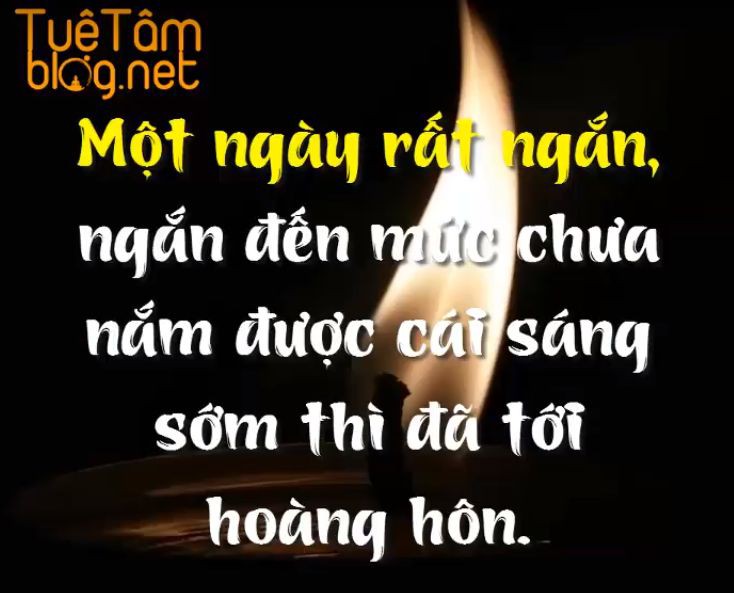 2484daaaabf0906186613e94233a05e1.jpg