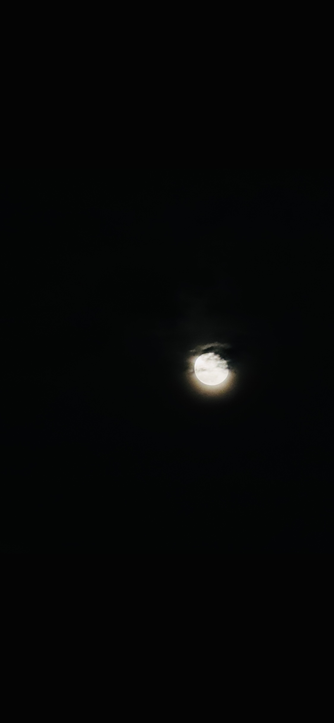 25009111-1541-45C6-A6E7-FDE397FE2BDC.jpeg