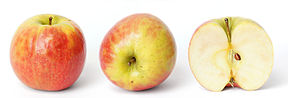 288px-Pink_lady_and_cross_section.jpg