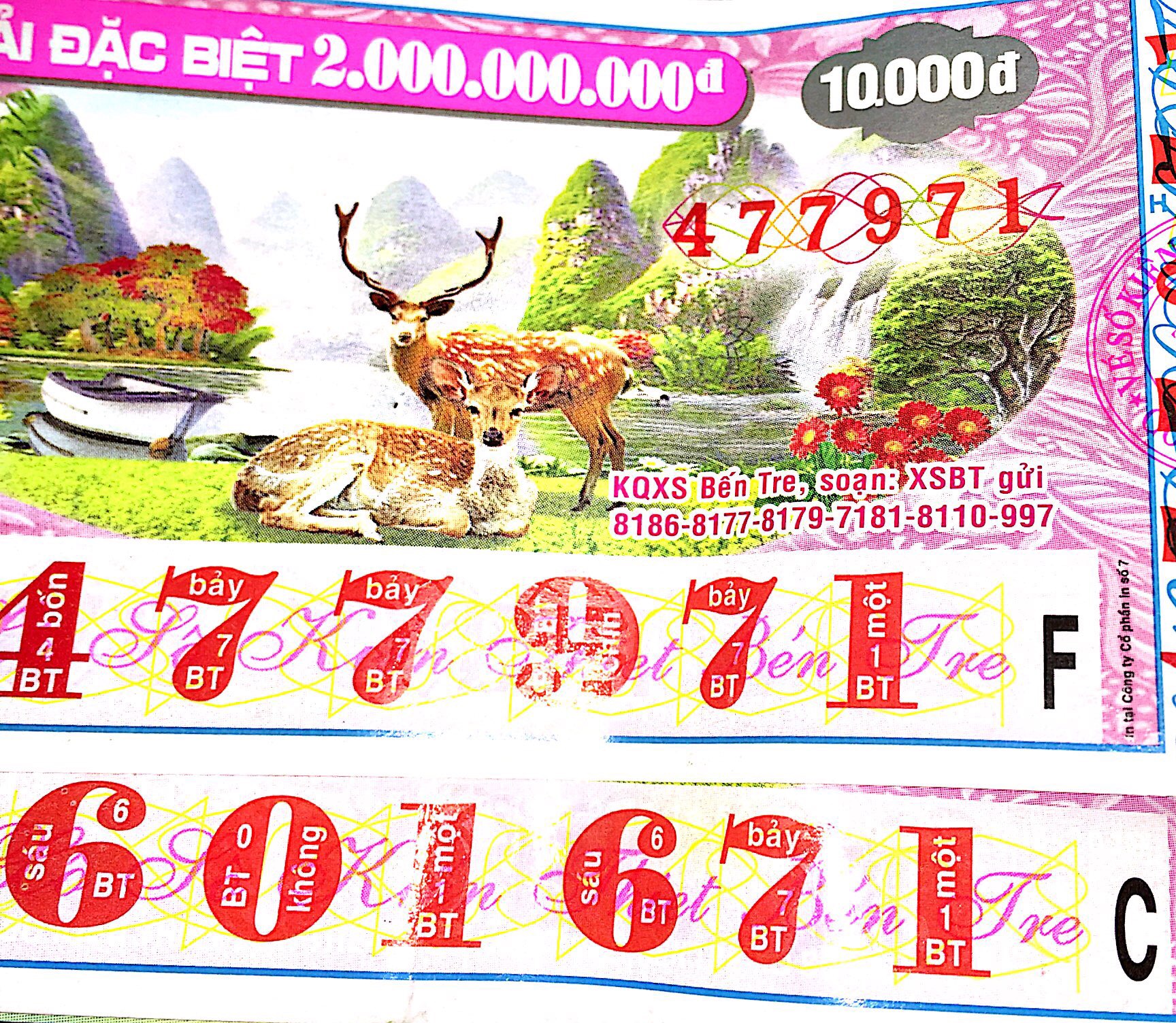 2BAE27E4-2185-4433-BDE6-846A1B4C7954.jpeg