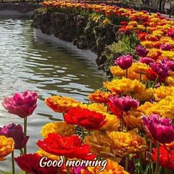 303fdef469010e1ad833014d9a13952b.jpg