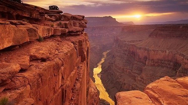 3215824621_252748748_574_574[1].jpg