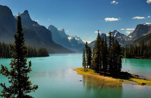 3217532835_224486808_574_574[1].jpg