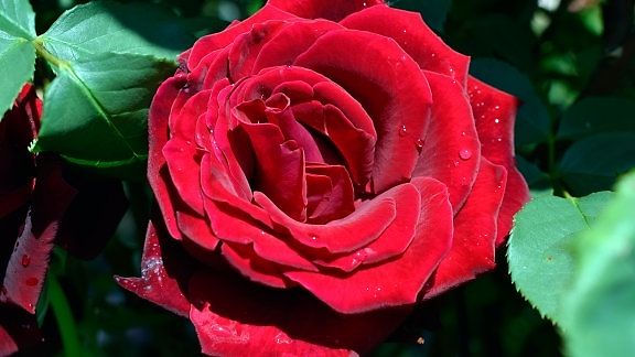 3221644947_2084184972_574_574[1].jpg