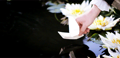 3259864462_1_7_IKyiwsYe[1].gif