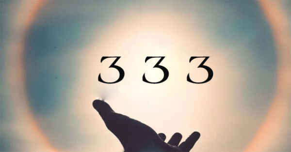 333-la-gi.jpg