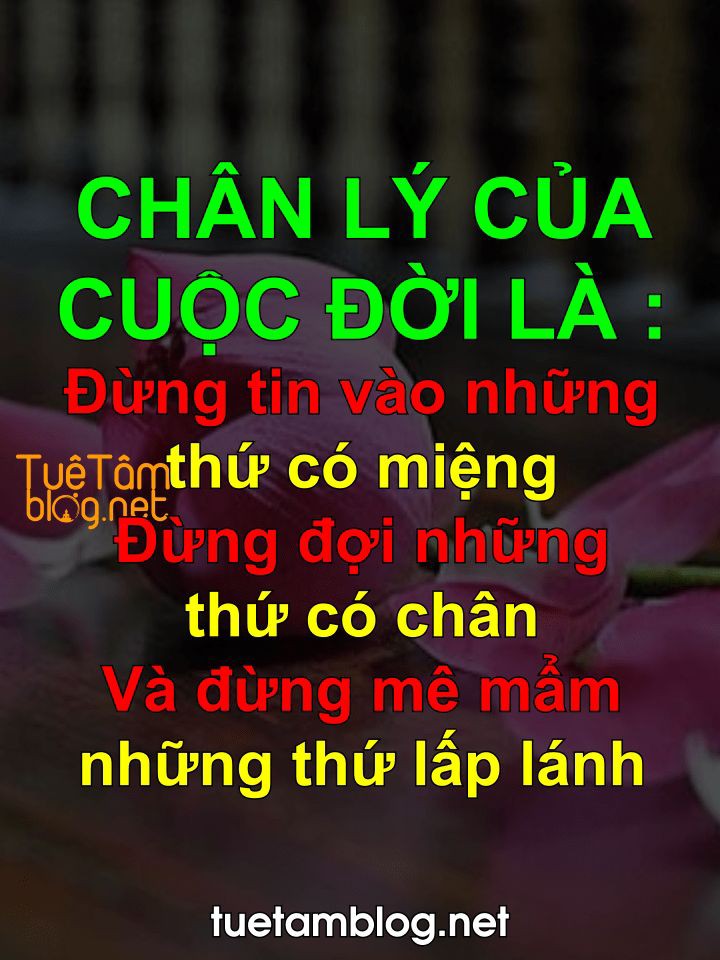 3364b831897cb7a11b09a65bb7dd0e4a.jpg